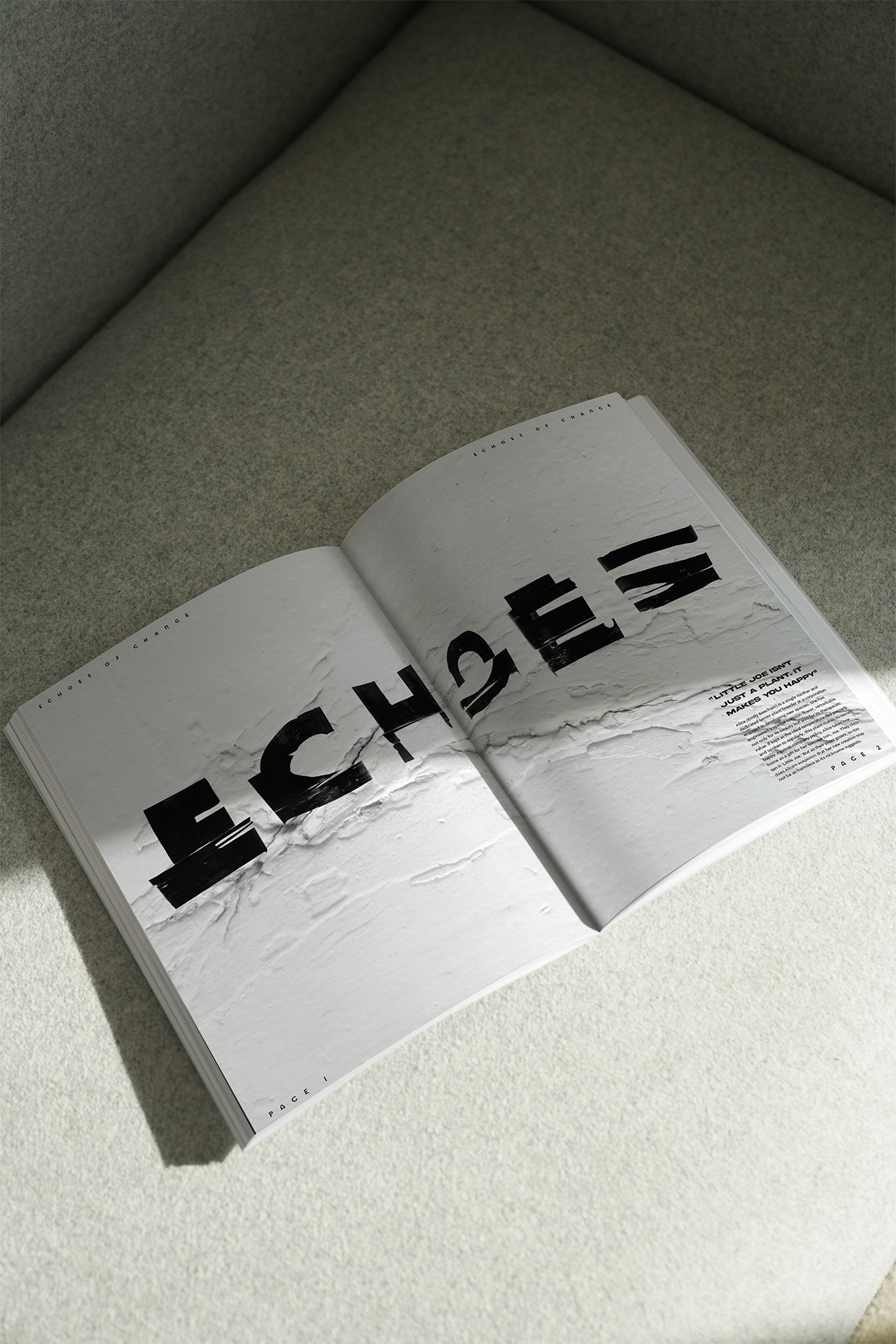 Magazine mockup.jpg
