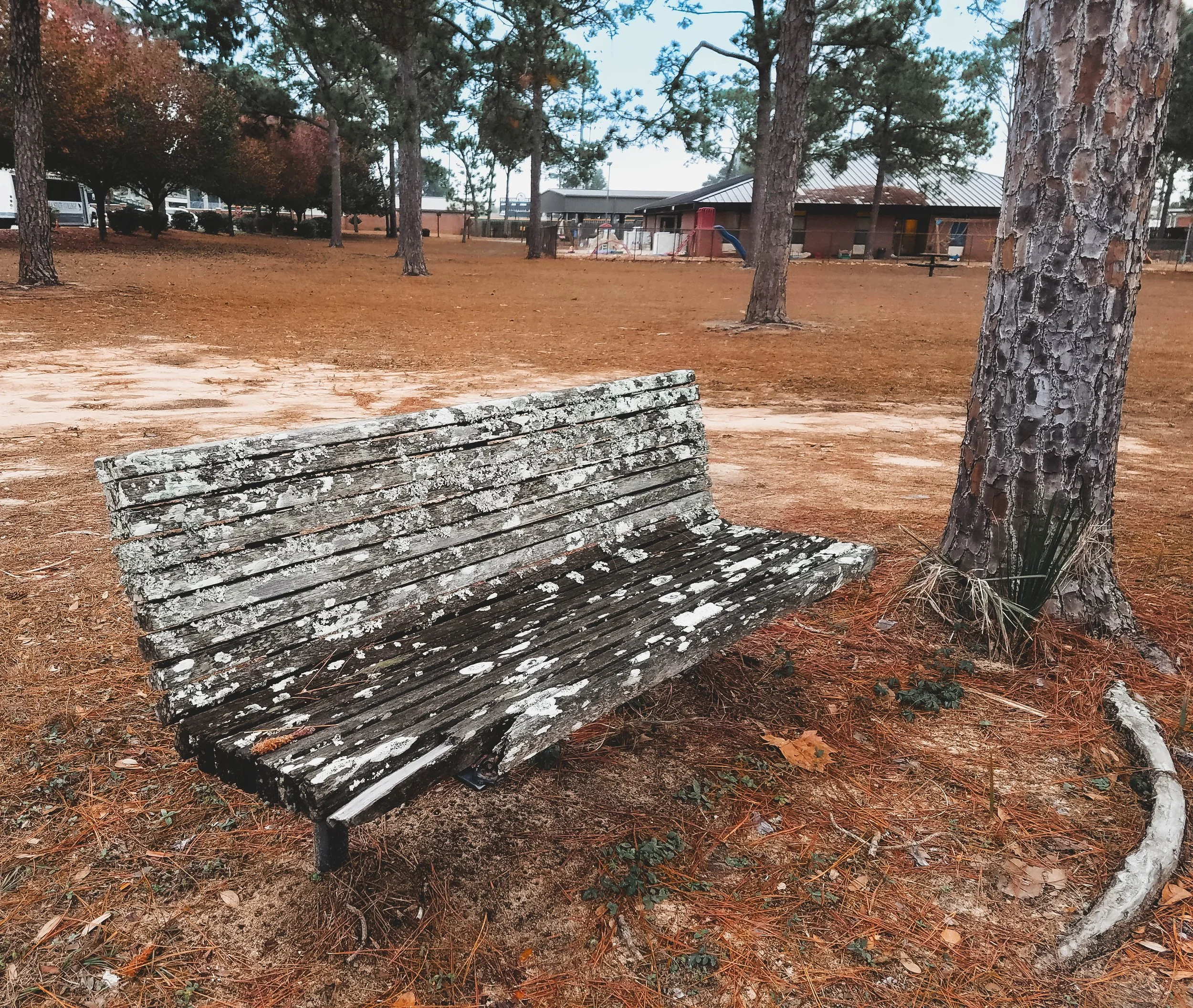 The Empty Invitation.jpg