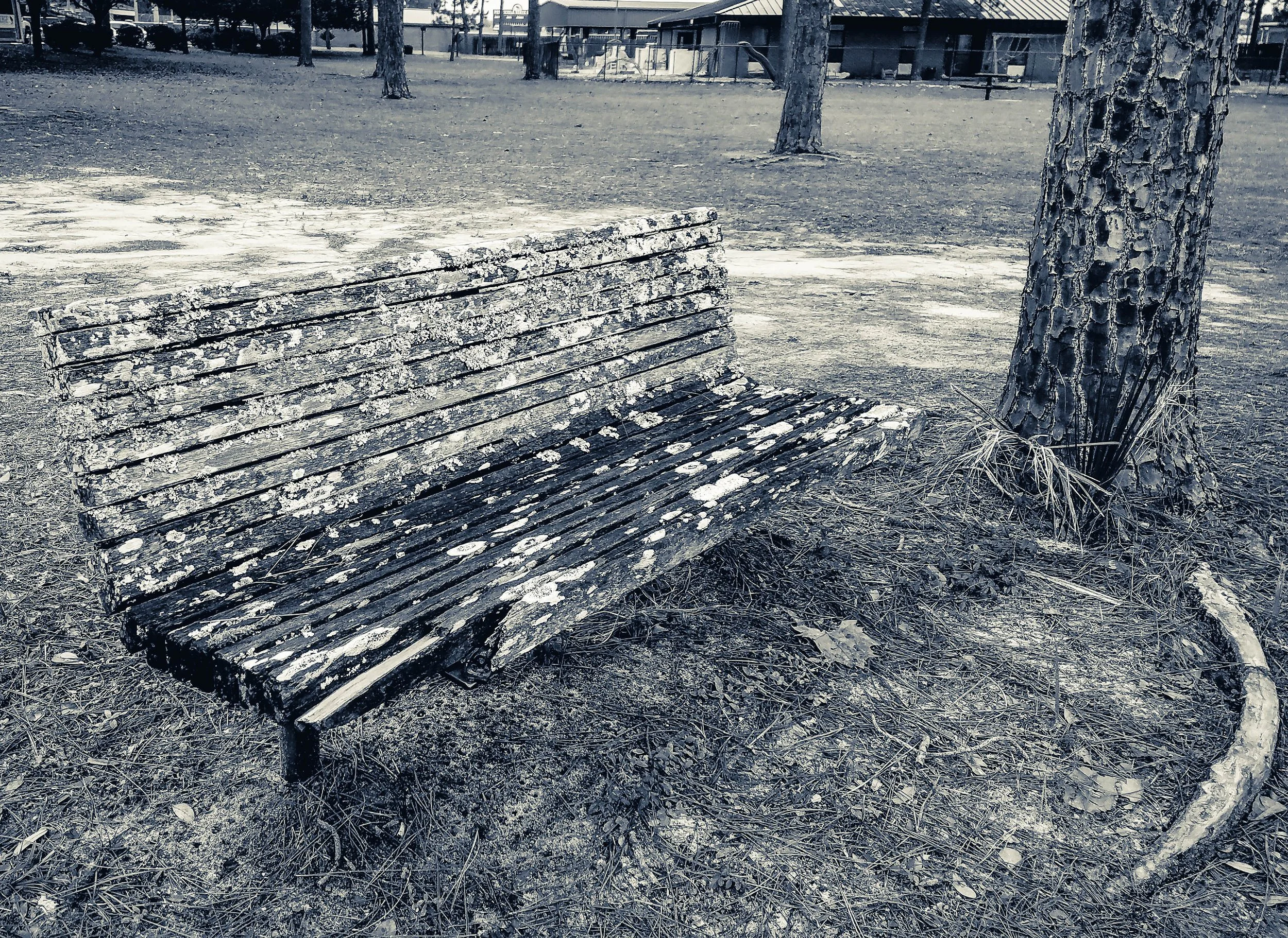 Echos of Absense.jpg