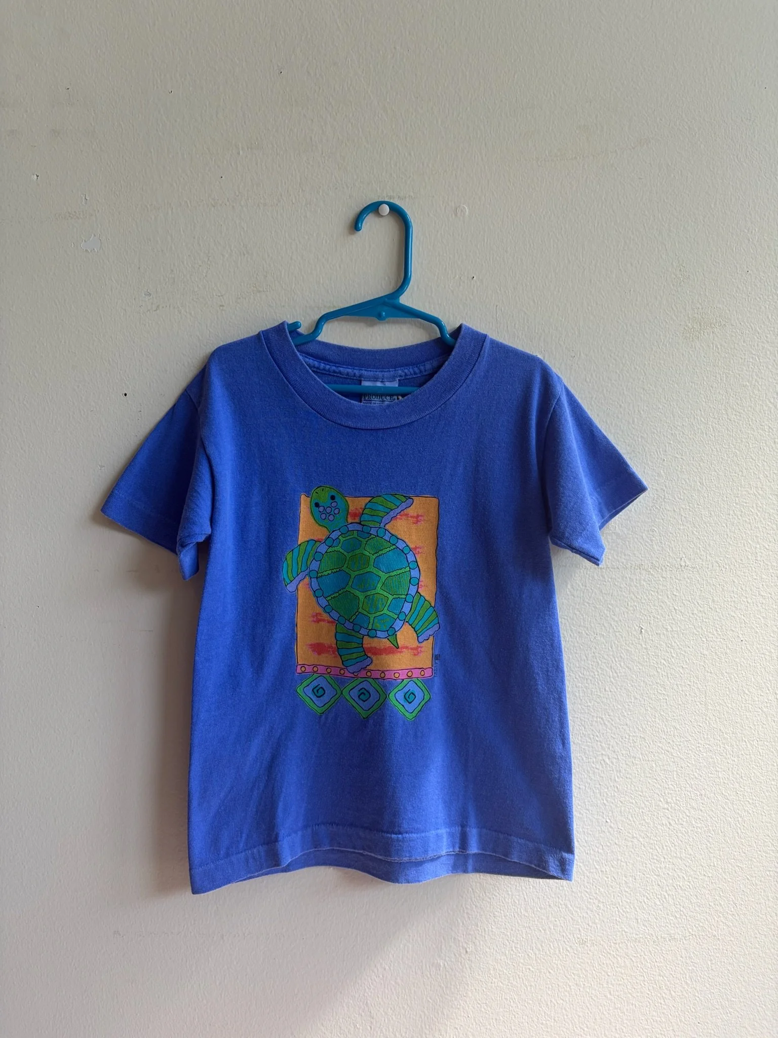 Turtle Graphic Tee 6Y
