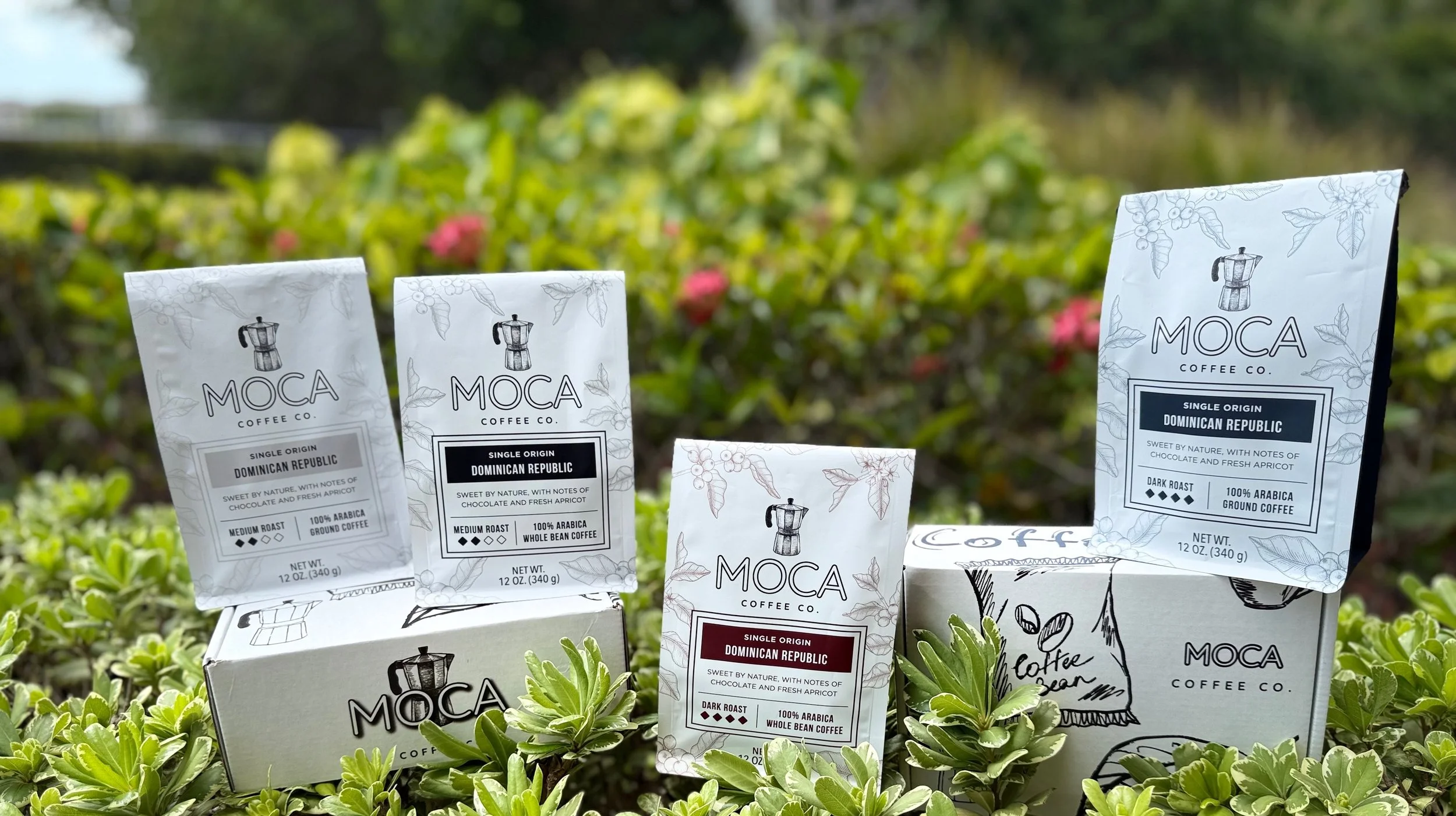 Facelab 2025-07-20 12-39-50.JPEG