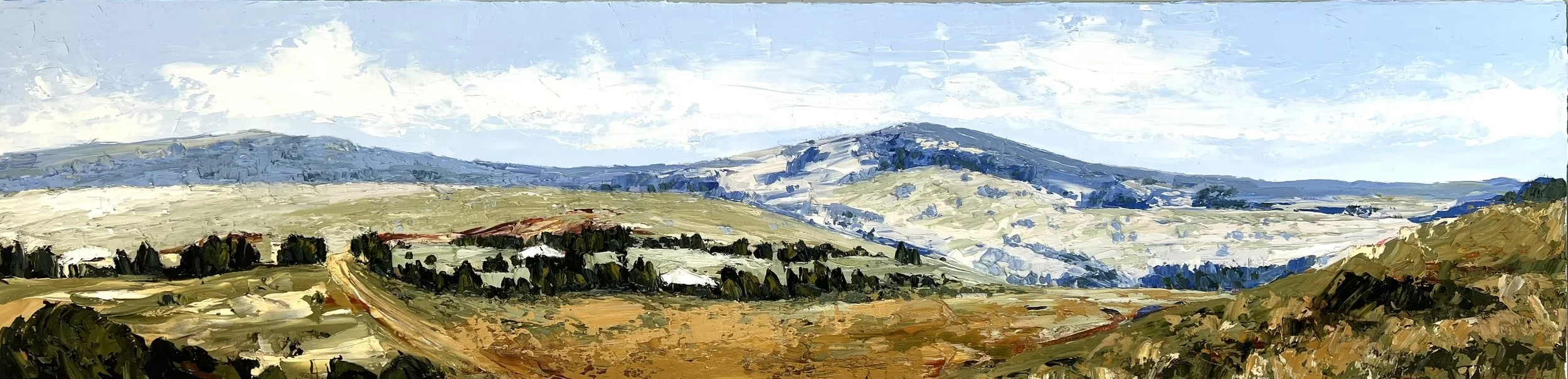 Summer Over the Plains, 30x120 cm, oil on canvas, framed