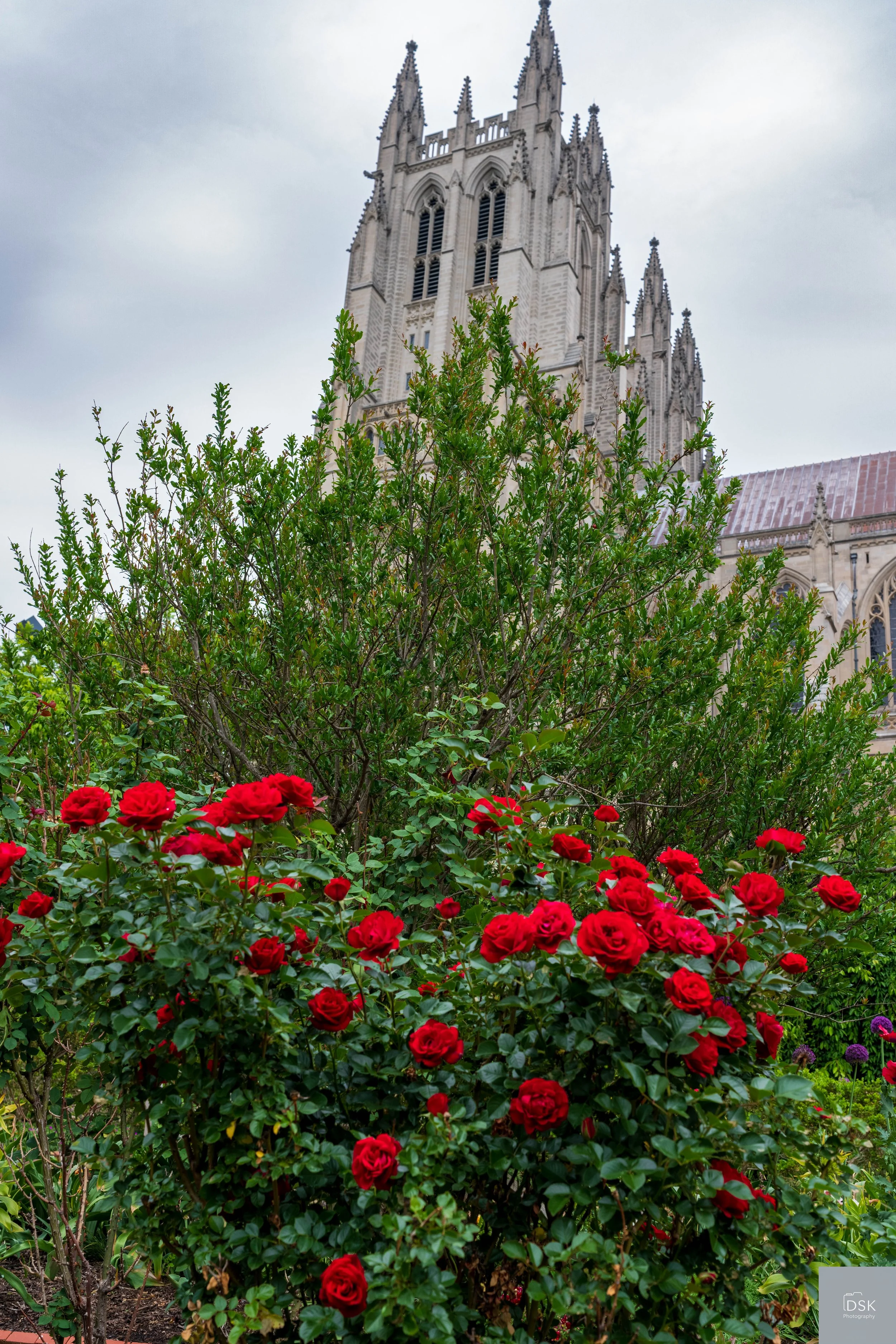 National Cathedral - Bishop's Gardens