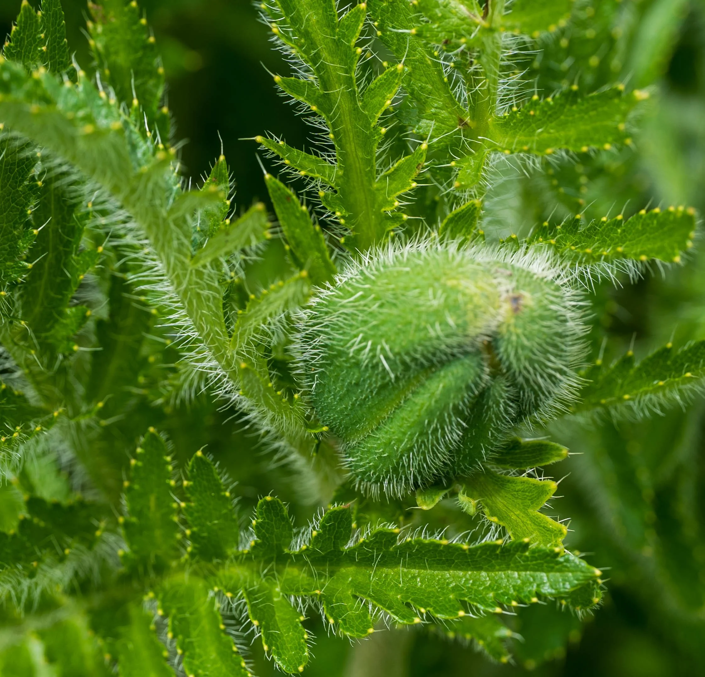 20260522-_DSK0457-2.jpg