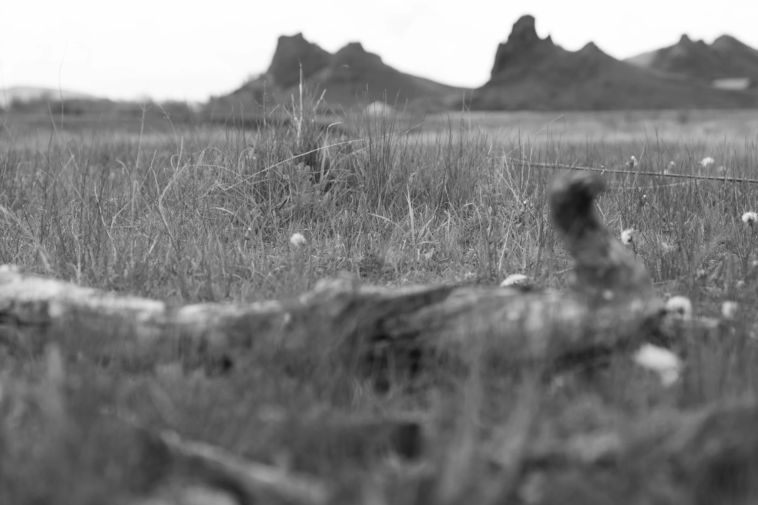 20260525-_DSK0914.jpg