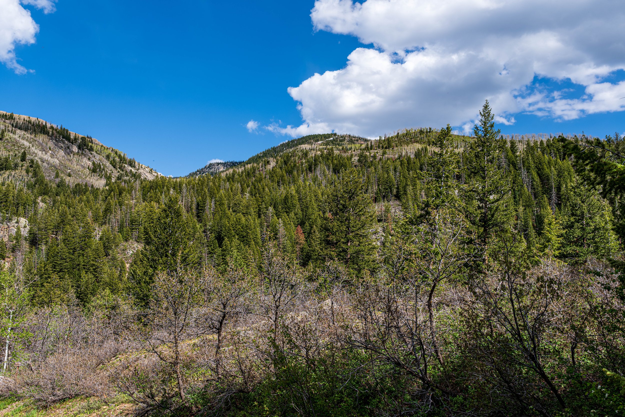 20260523-_DSK8384.jpg