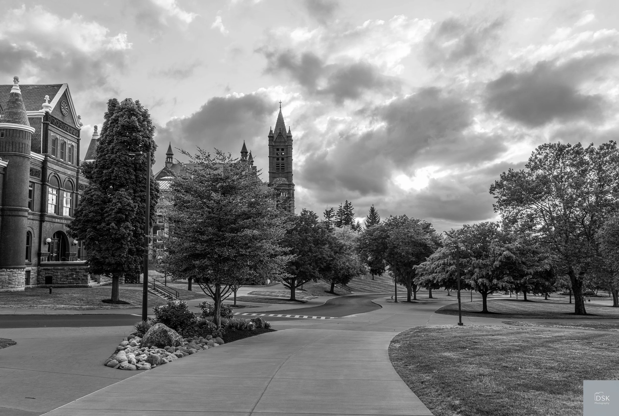 20260817-_DSK4785-2.jpg