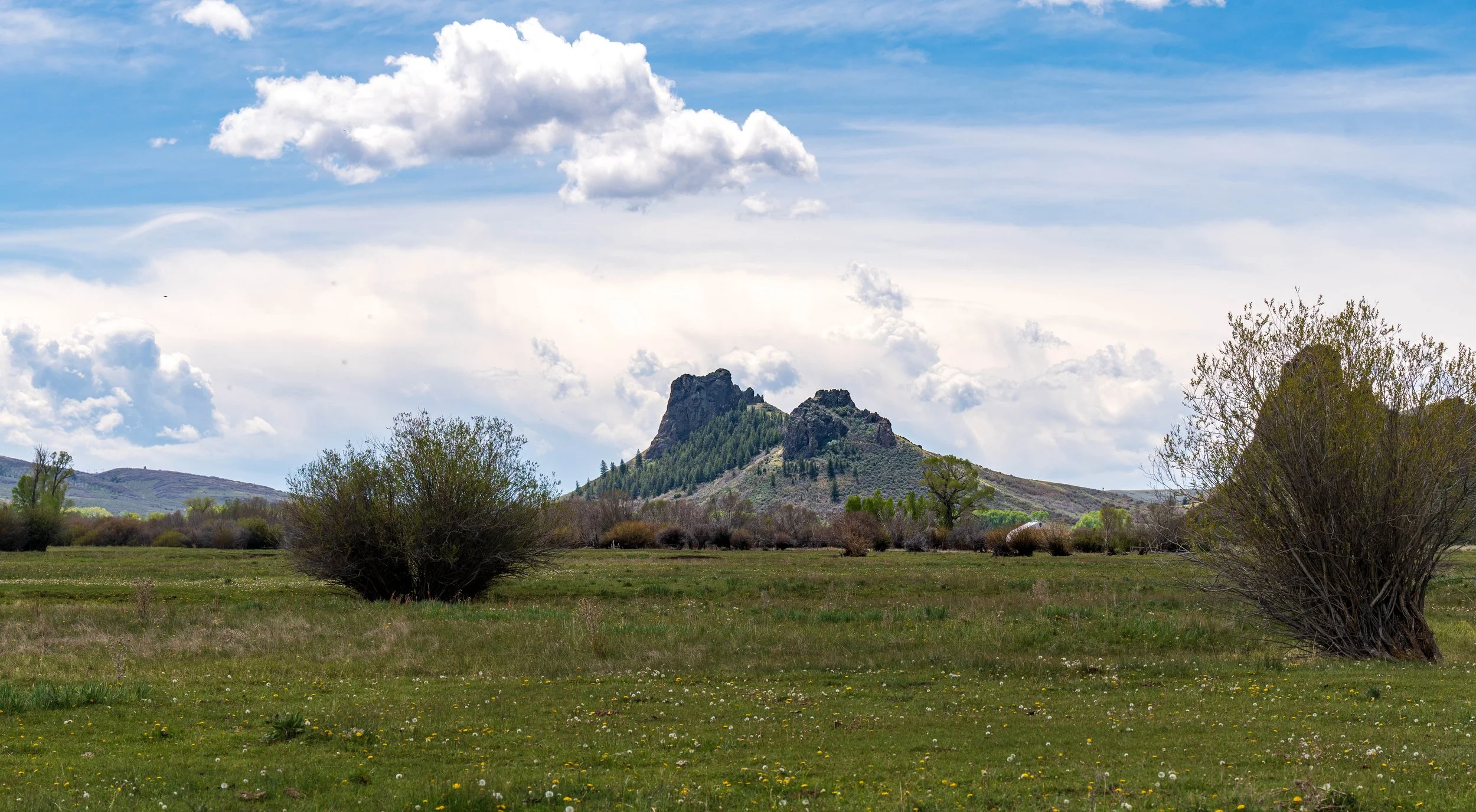 20260525-_DSK0874.jpg