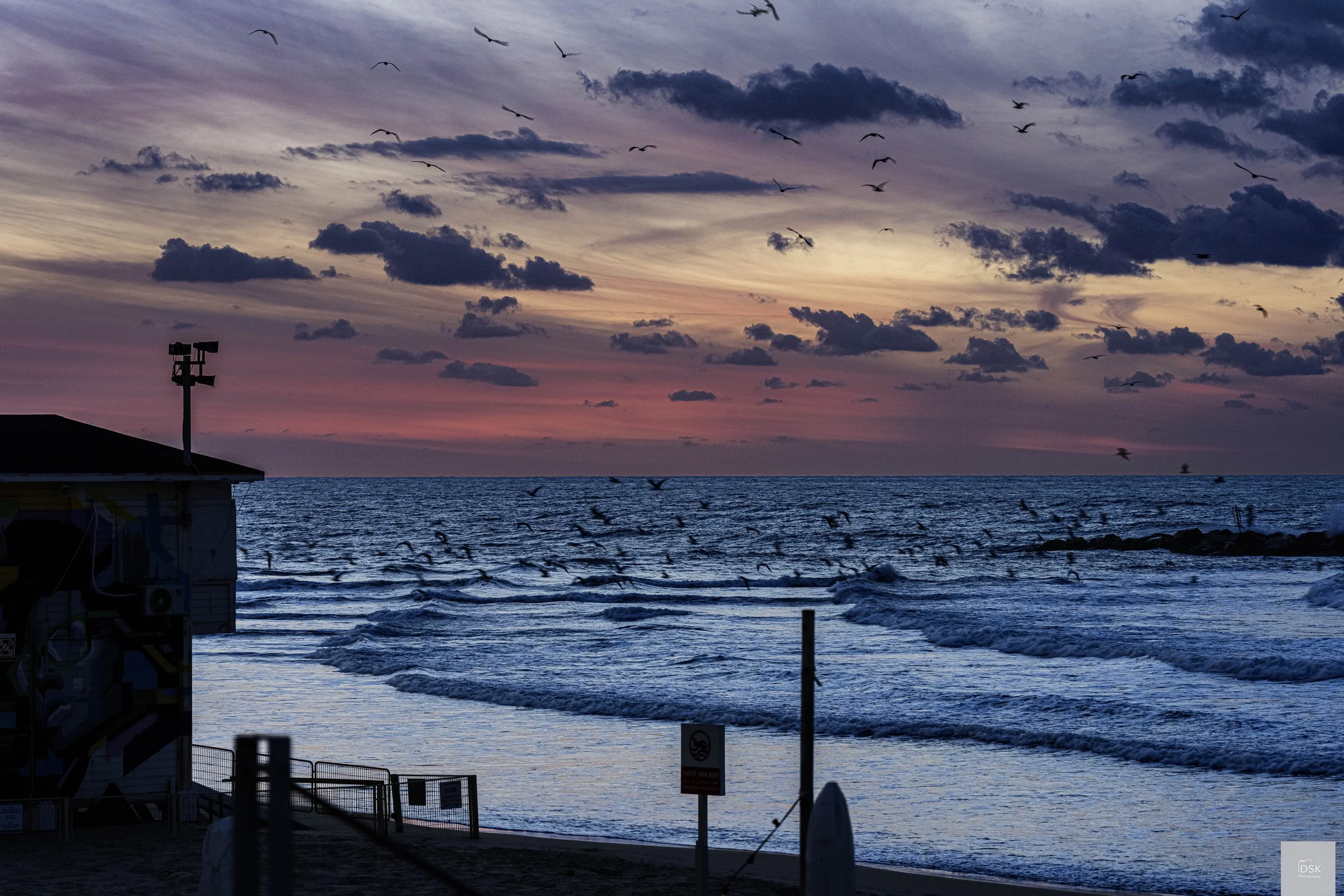 Frishman Beach, Tel Aviv