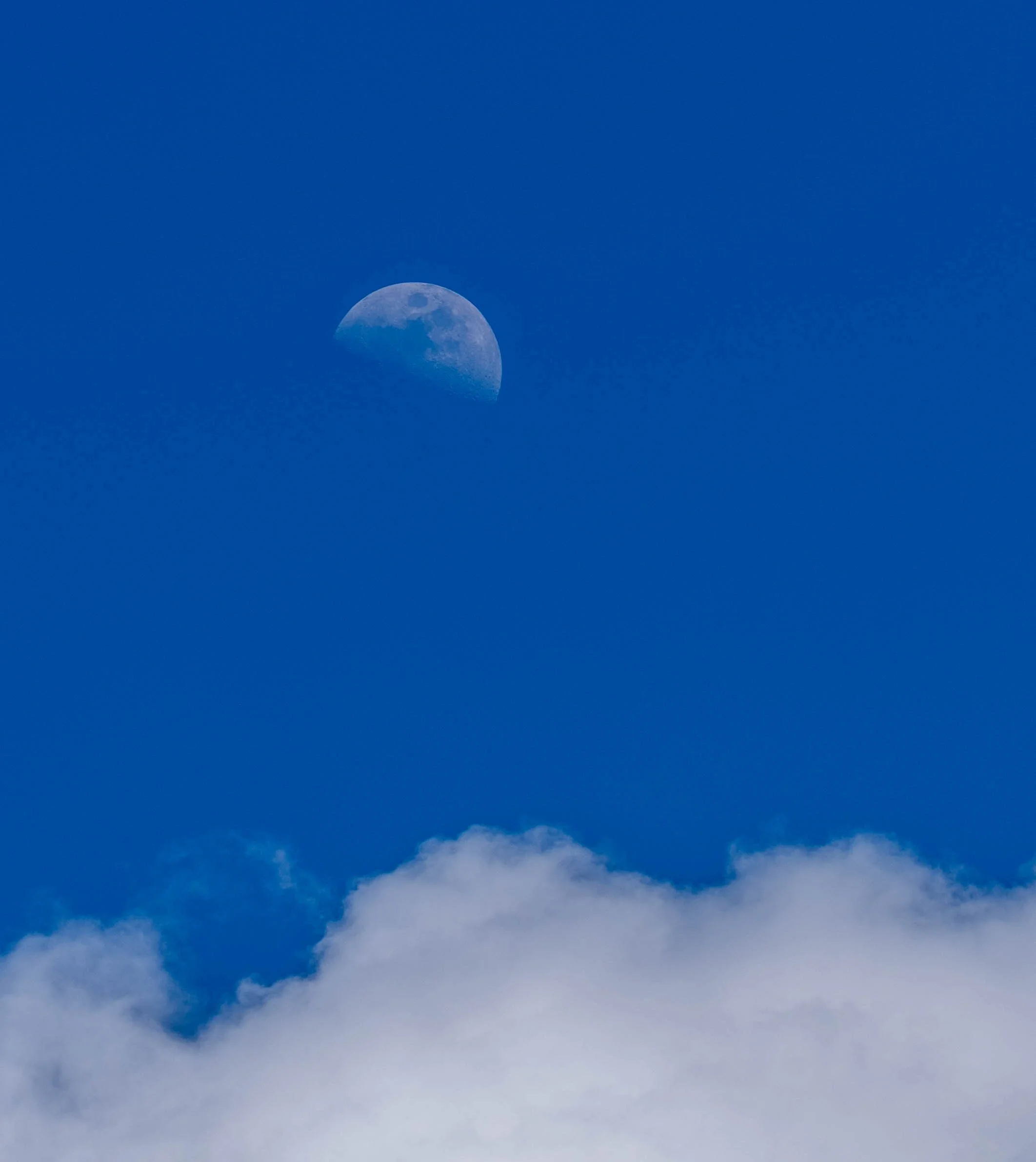 20260523-_DSK0693-2.jpg