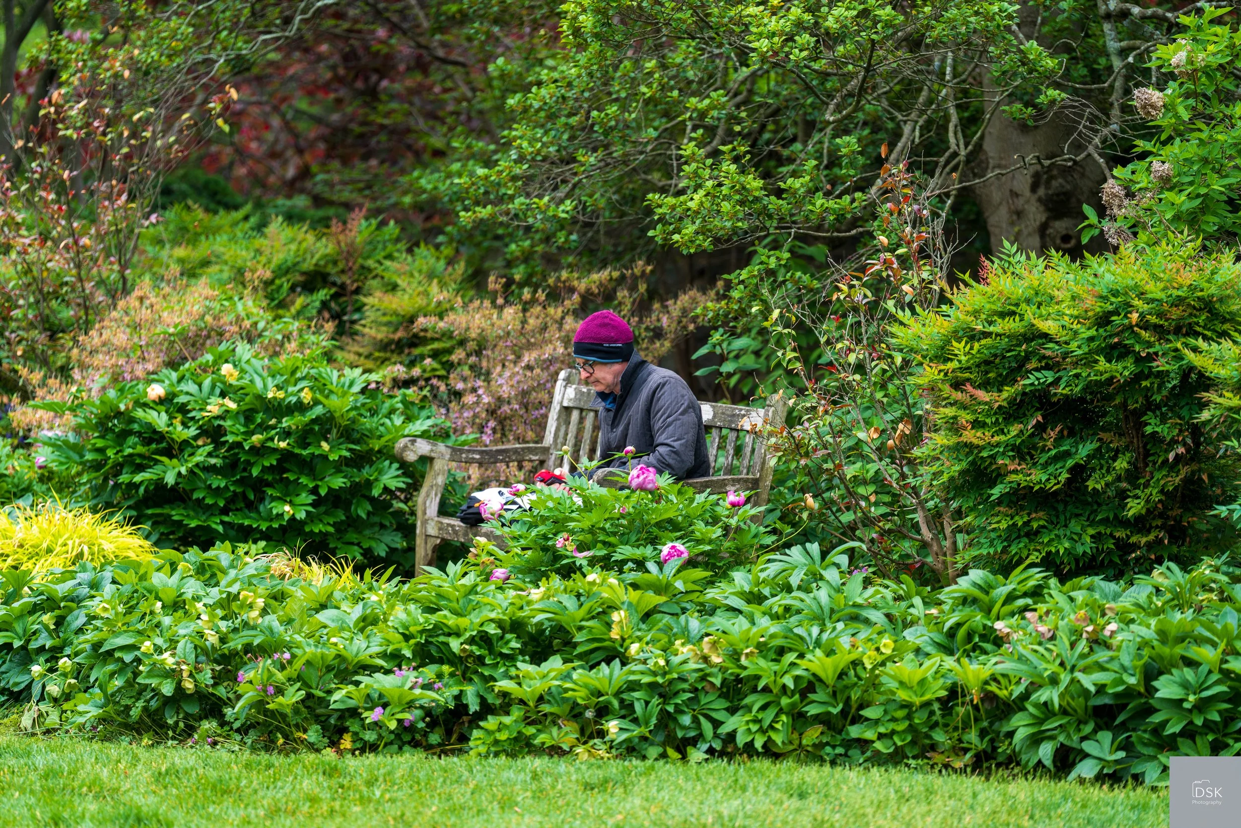 National Cathedral - Bishop's Gardens