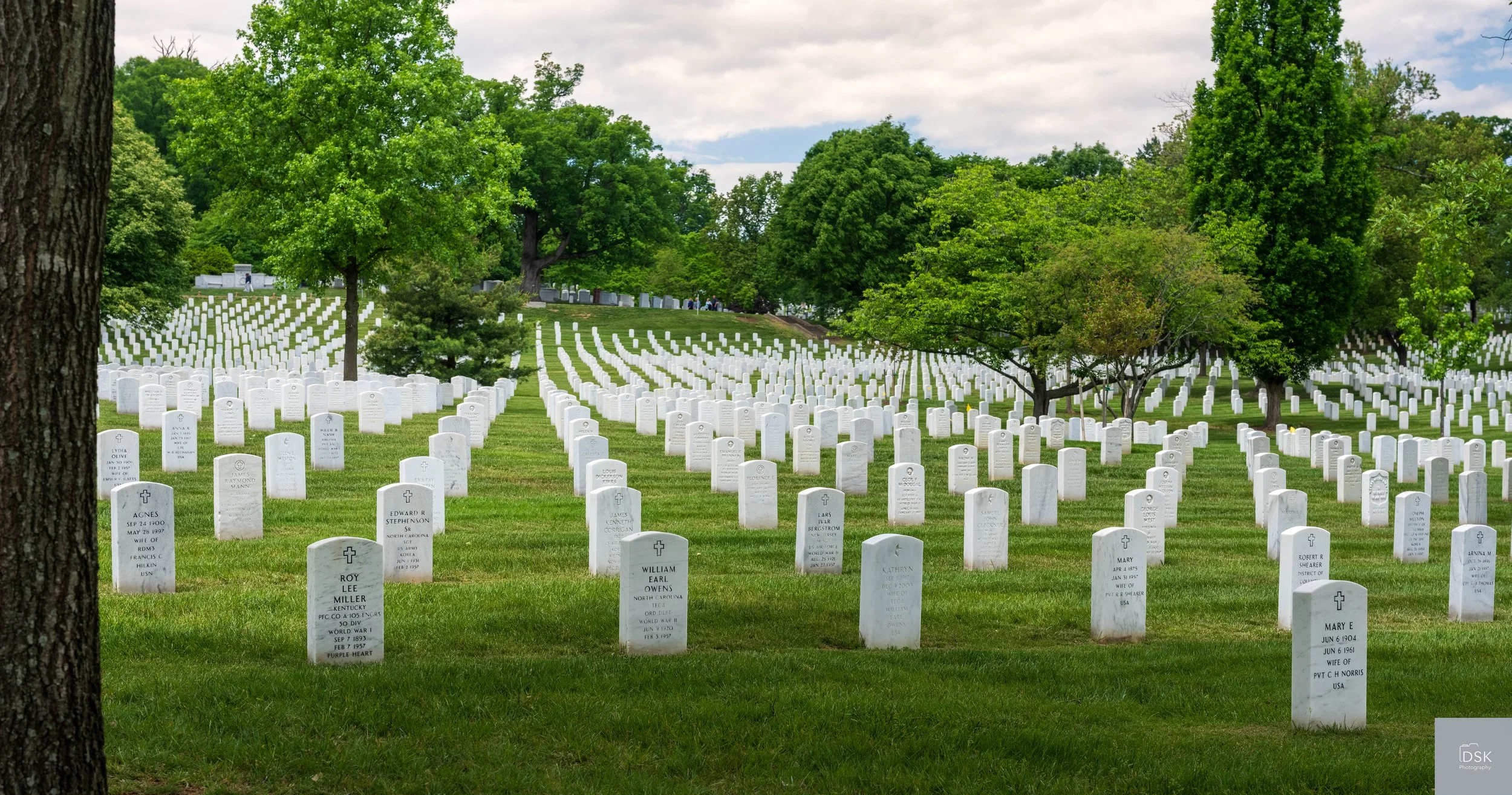 Arlington Cemetery