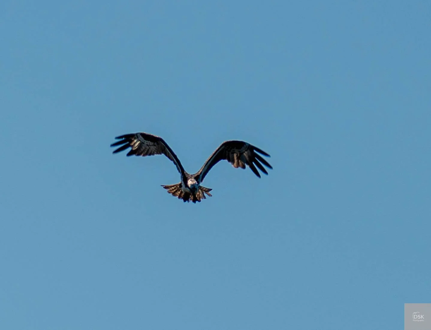 20260615-_DSK1381.jpg