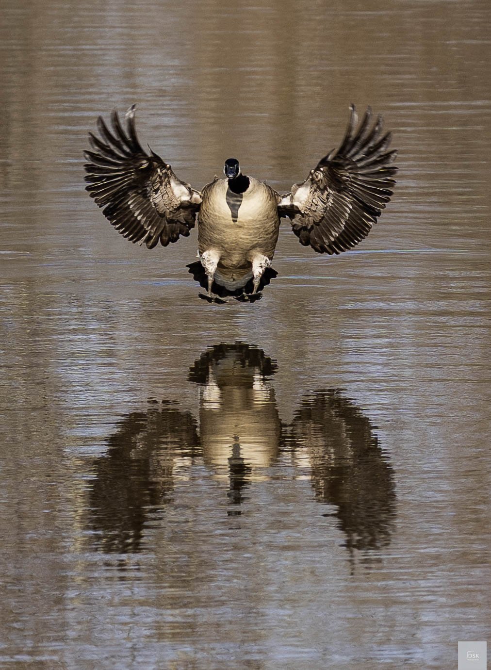 Croft Park, Cherry Hill