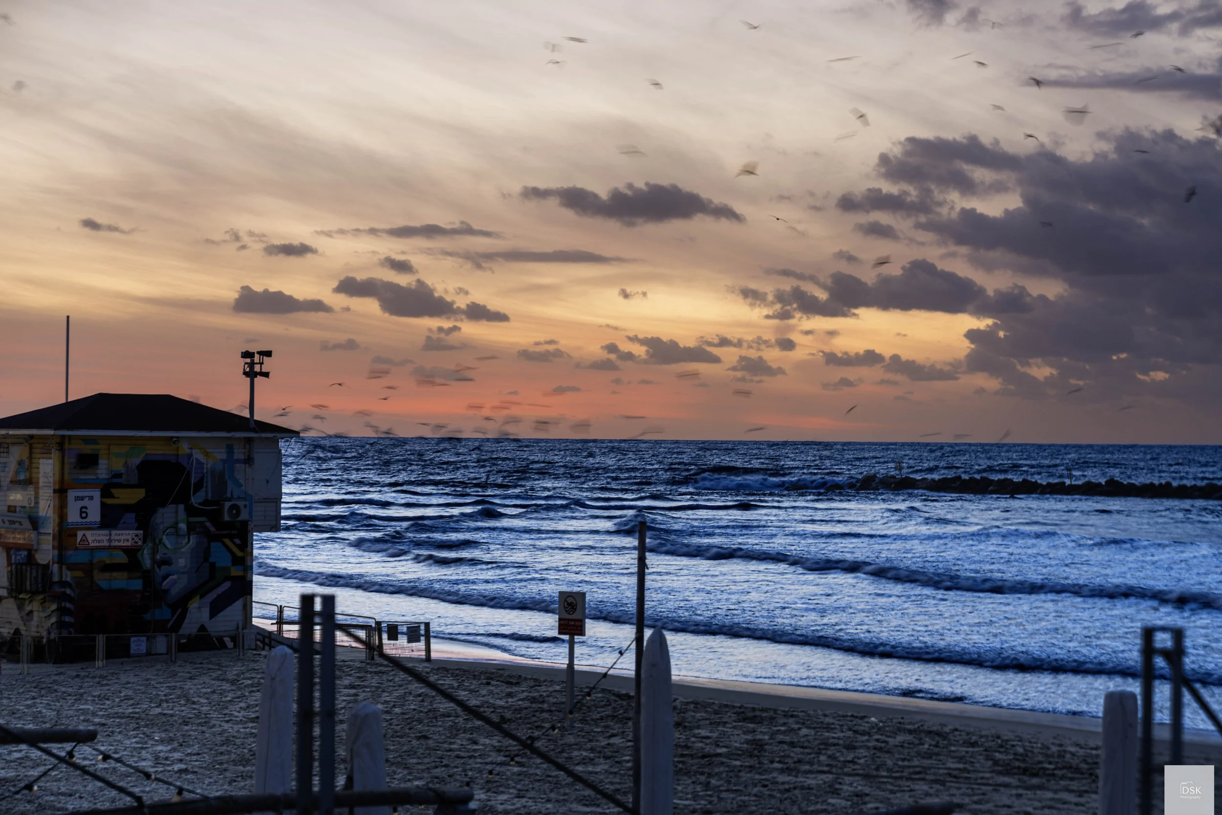 Frishman Beach, Tel Aviv