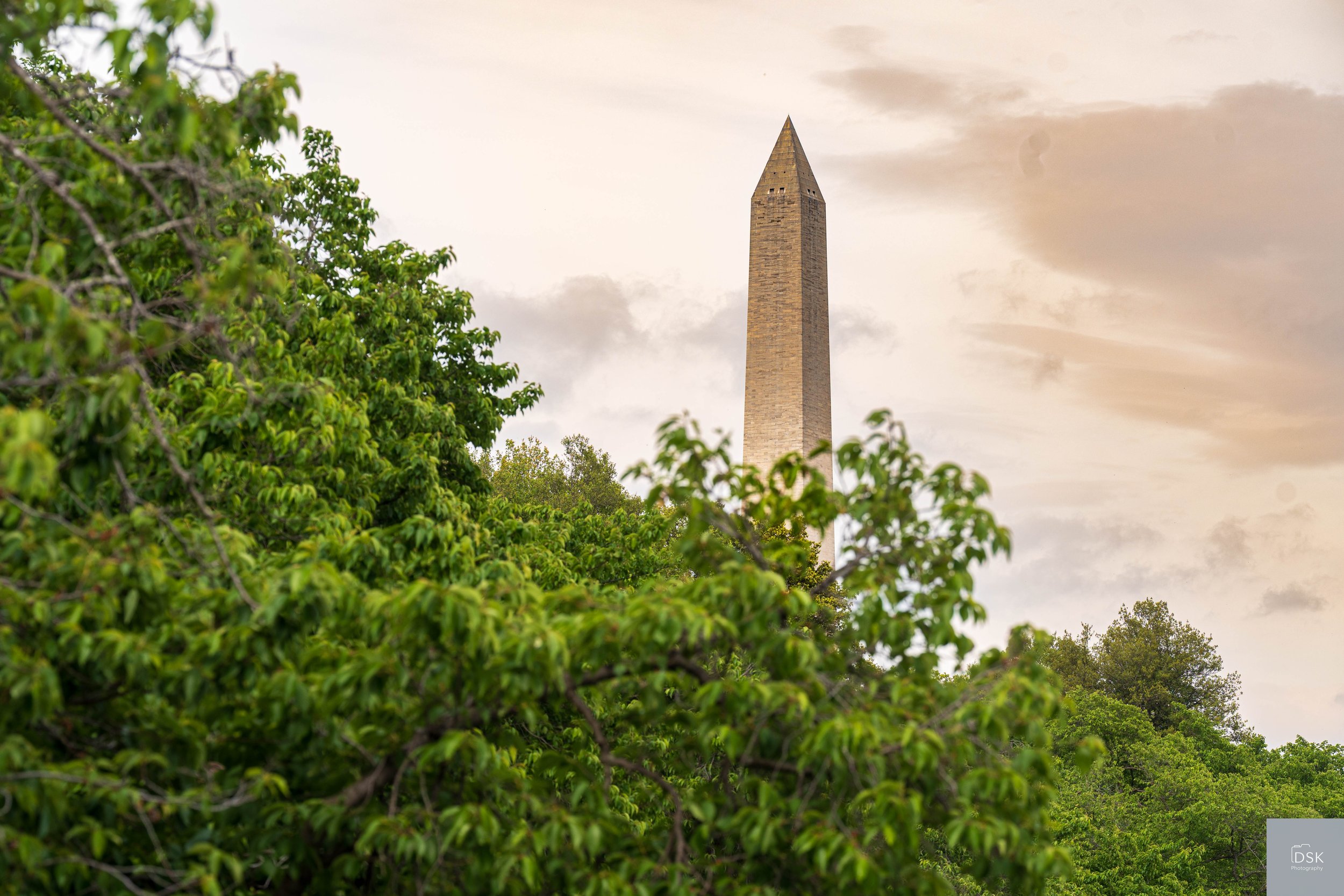 Washington Monument