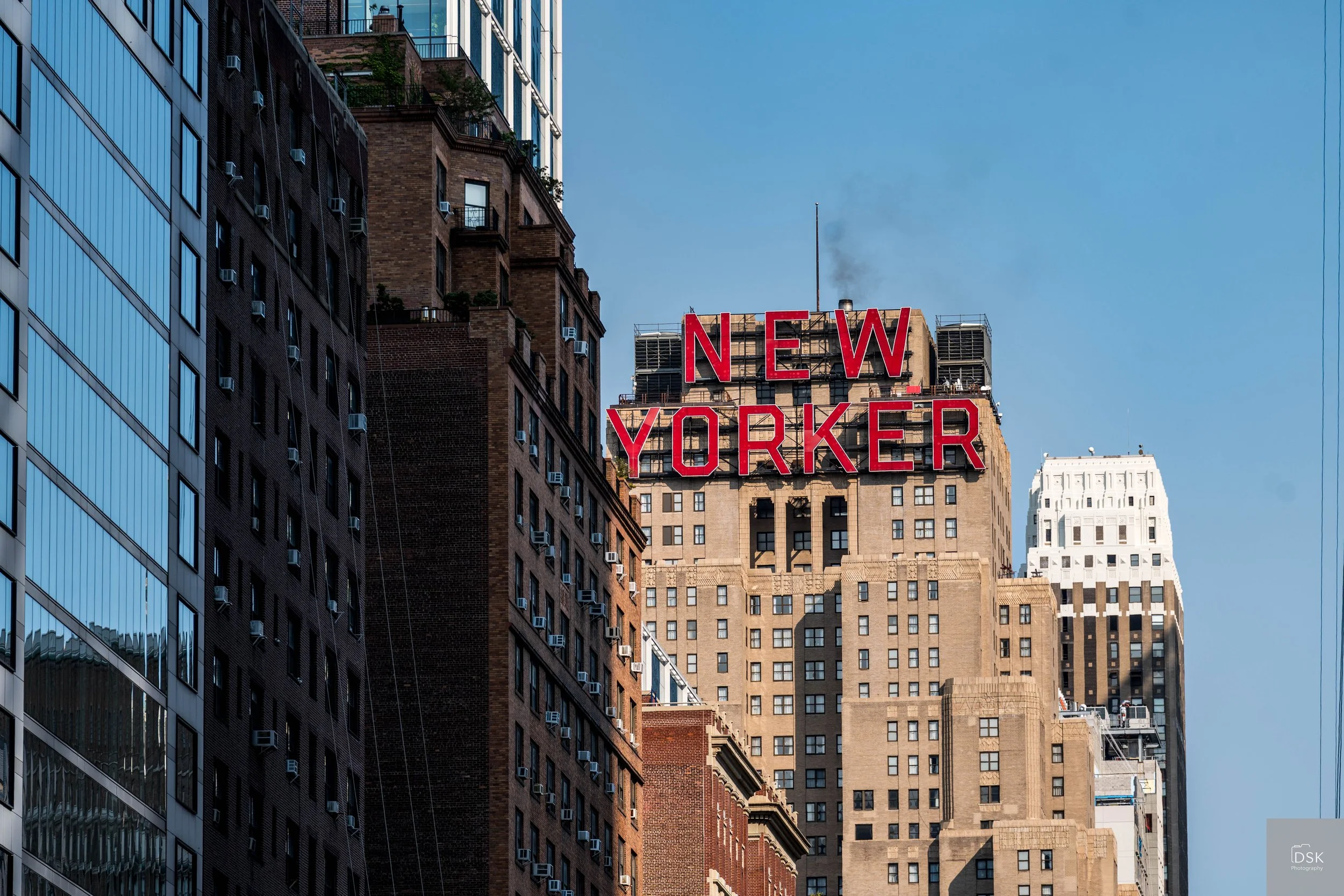 20260812-_DSK6233-3.jpg