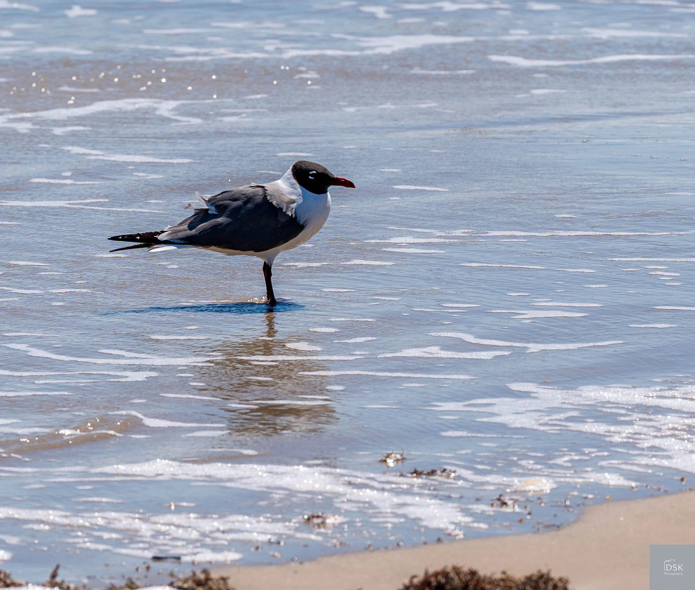Galveston, Texas