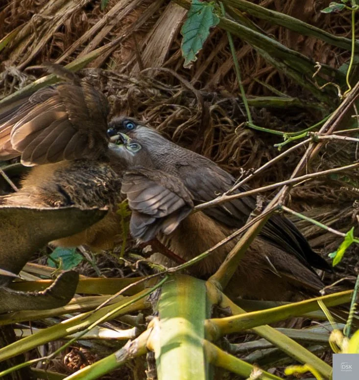 20260703-_DSK4935.jpg