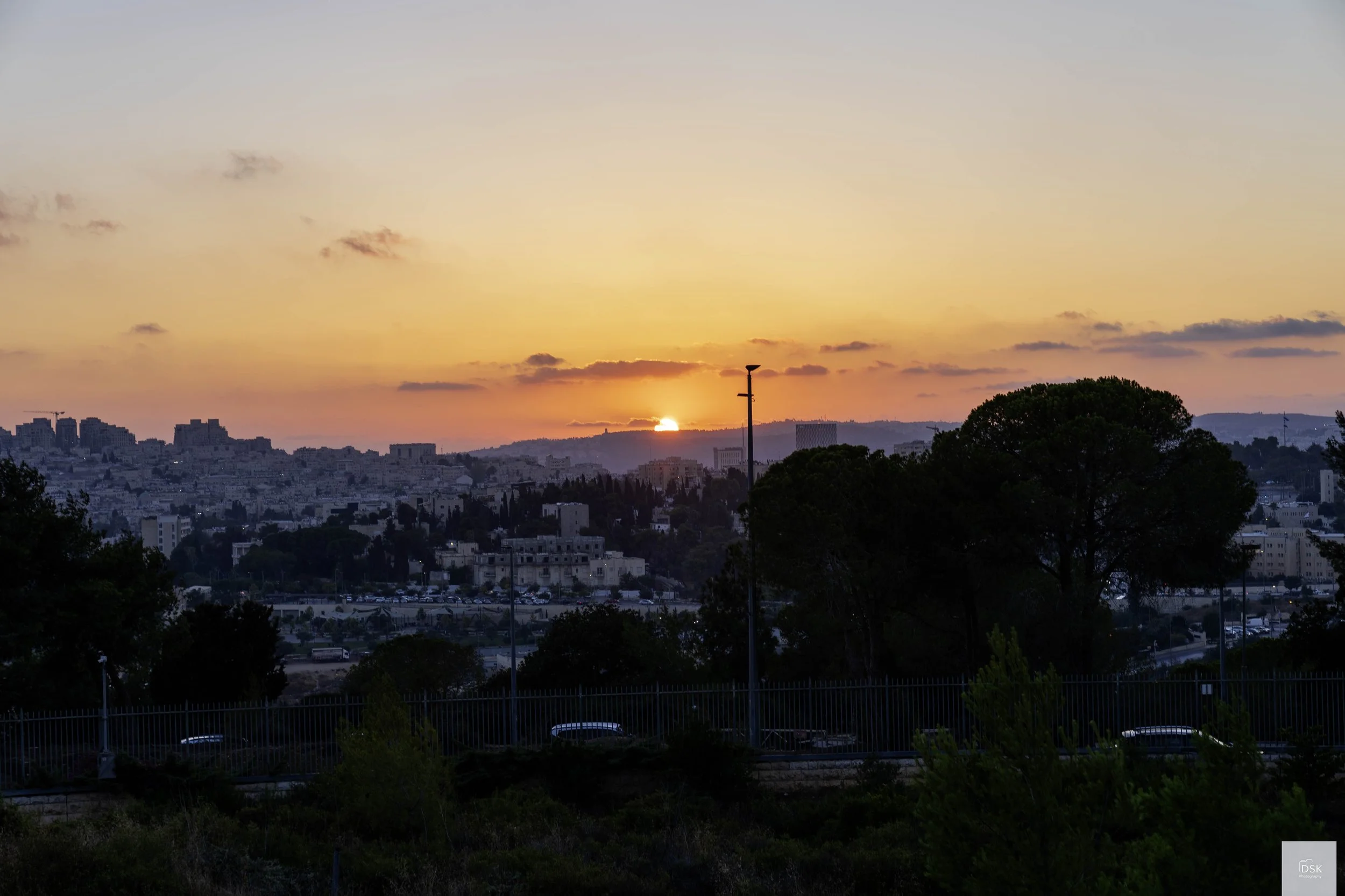 DSK08421.jpg