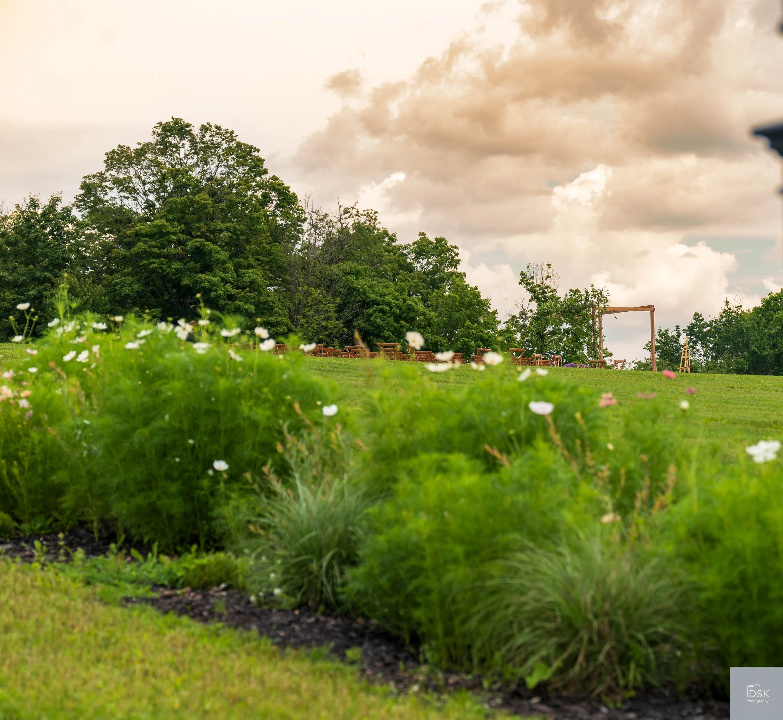 20260801-_DSK5853-2.jpg