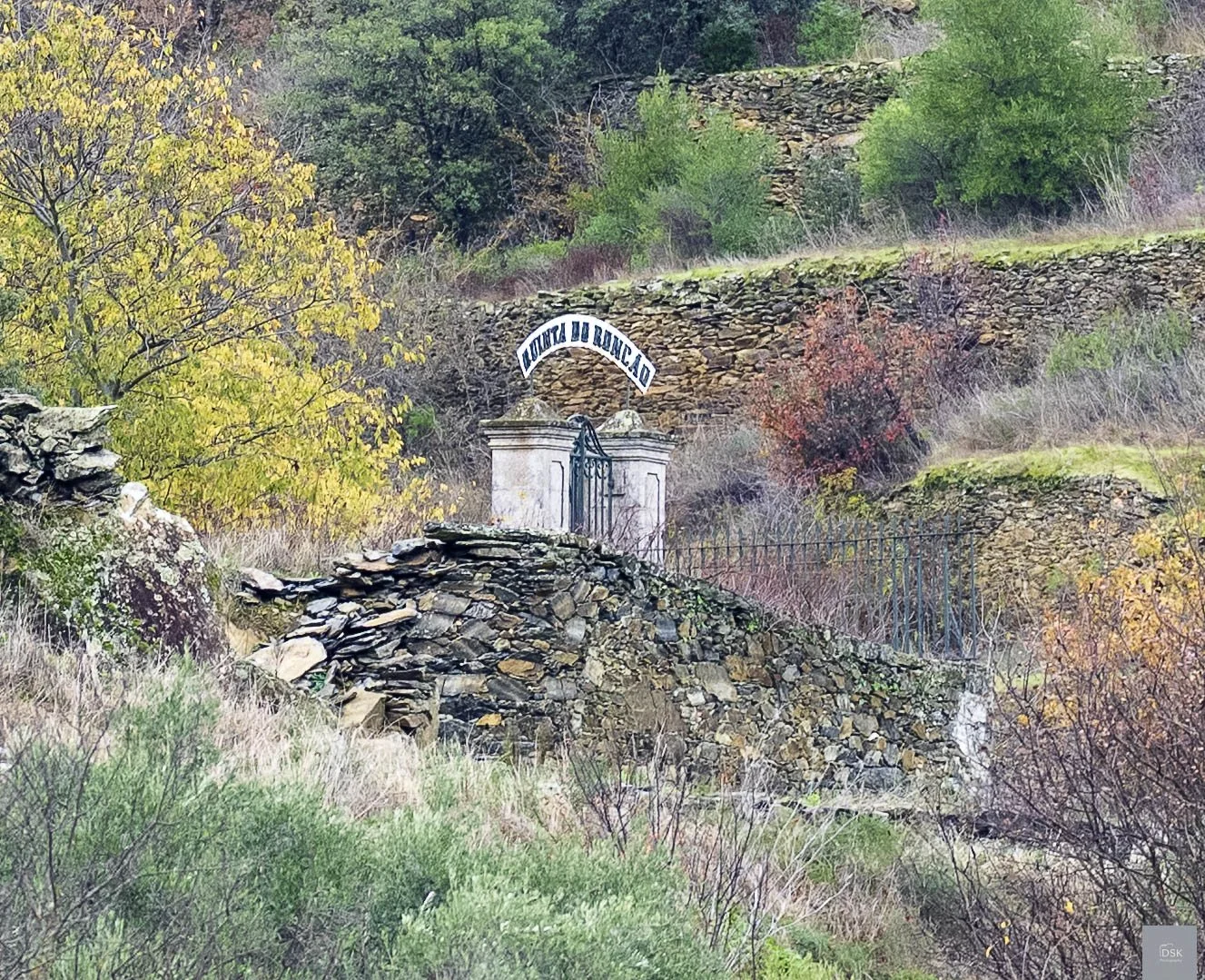 _DSK9304.jpg