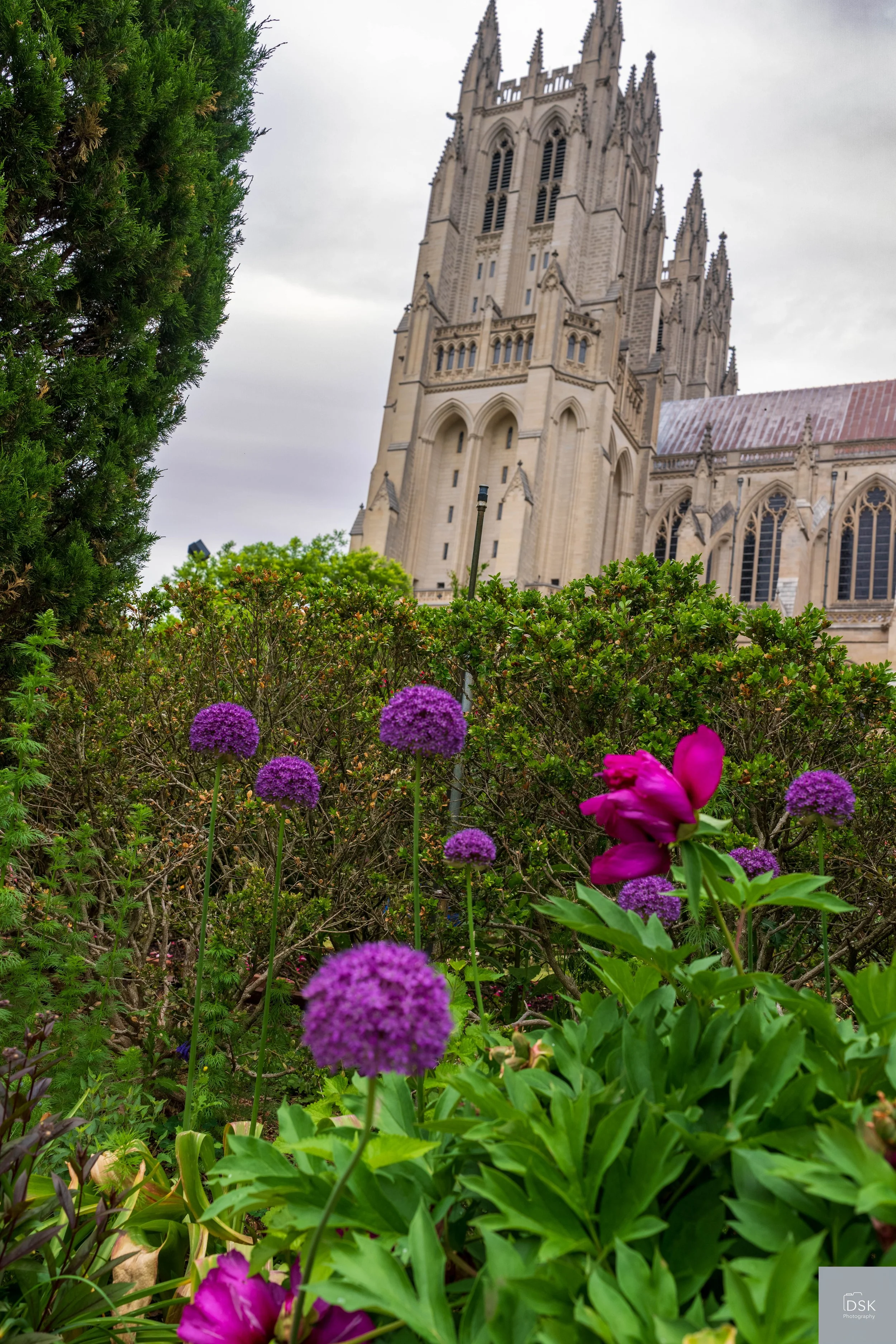 National Cathedral - Bishop's Gardens