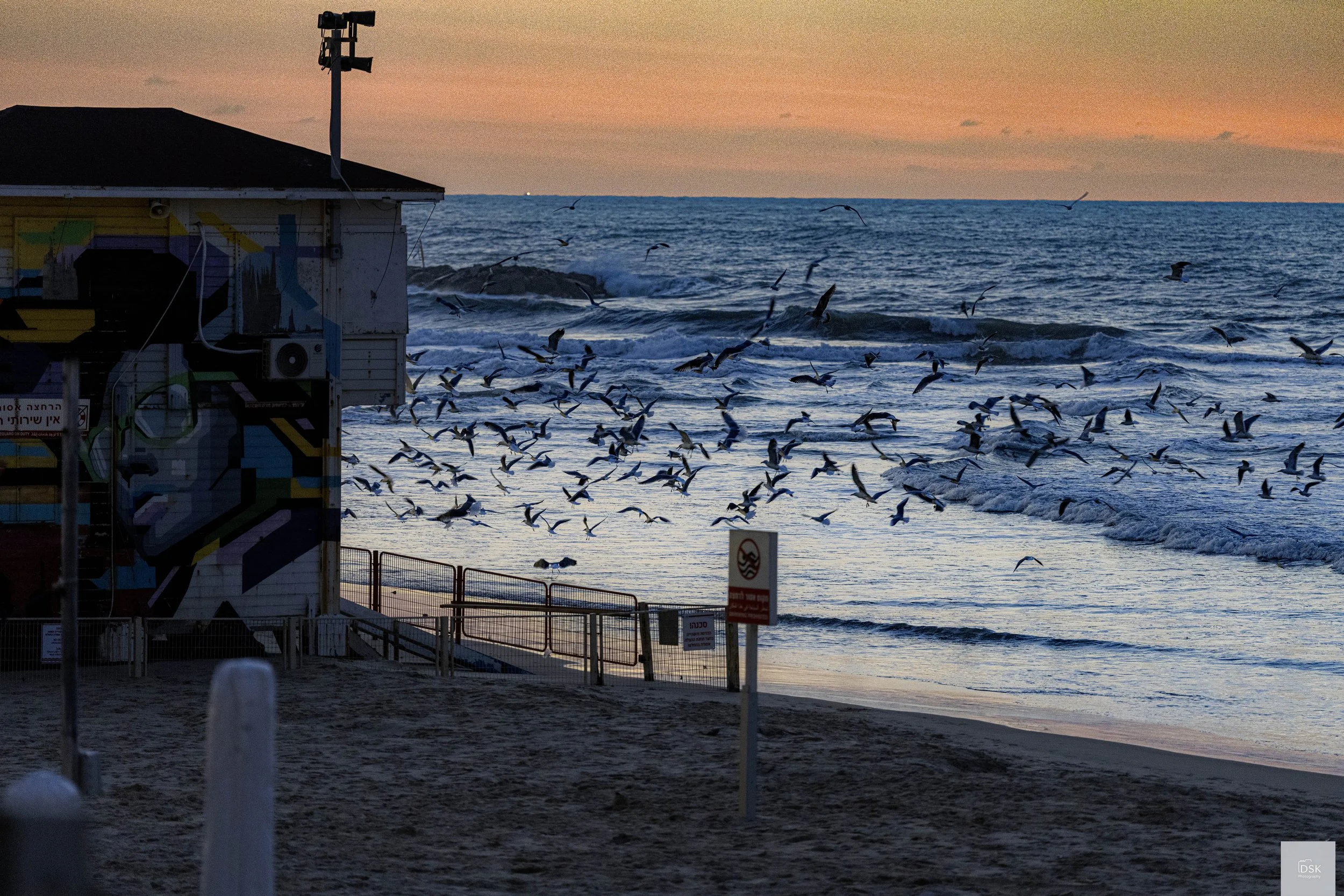 Frishman Beach, Tel Aviv