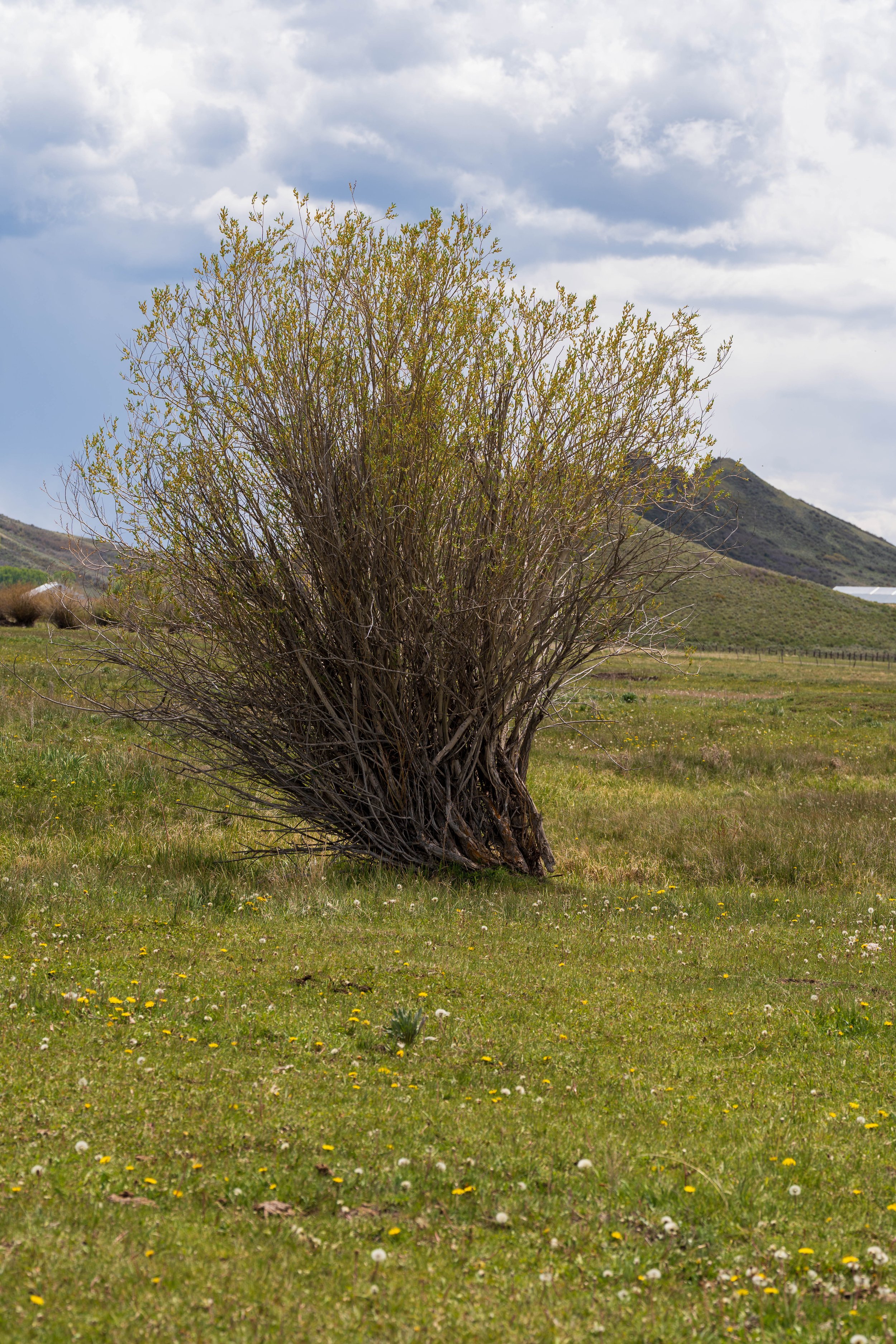 20260525-_DSK1001.jpg