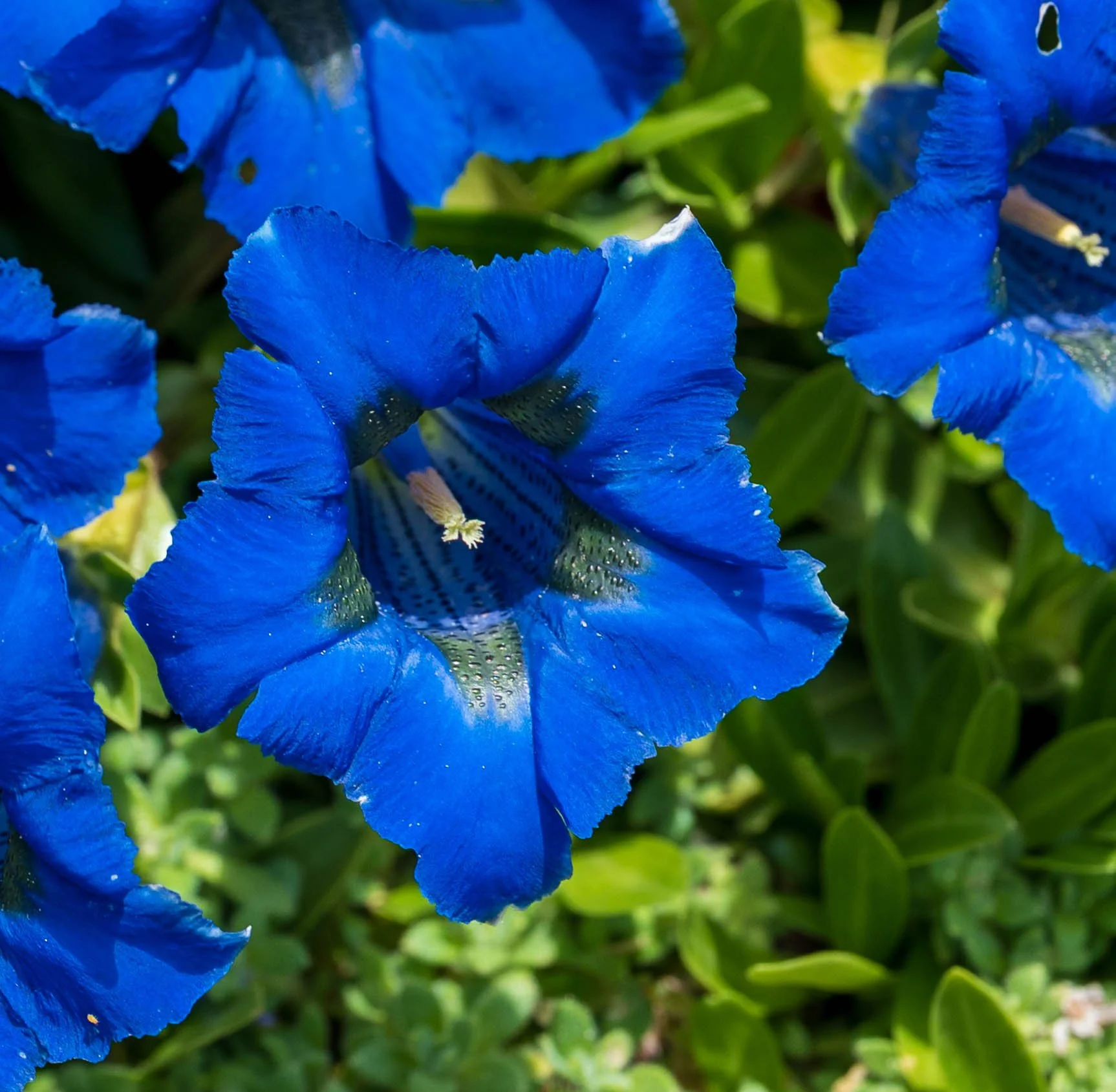 20260522-_DSK0547.jpg