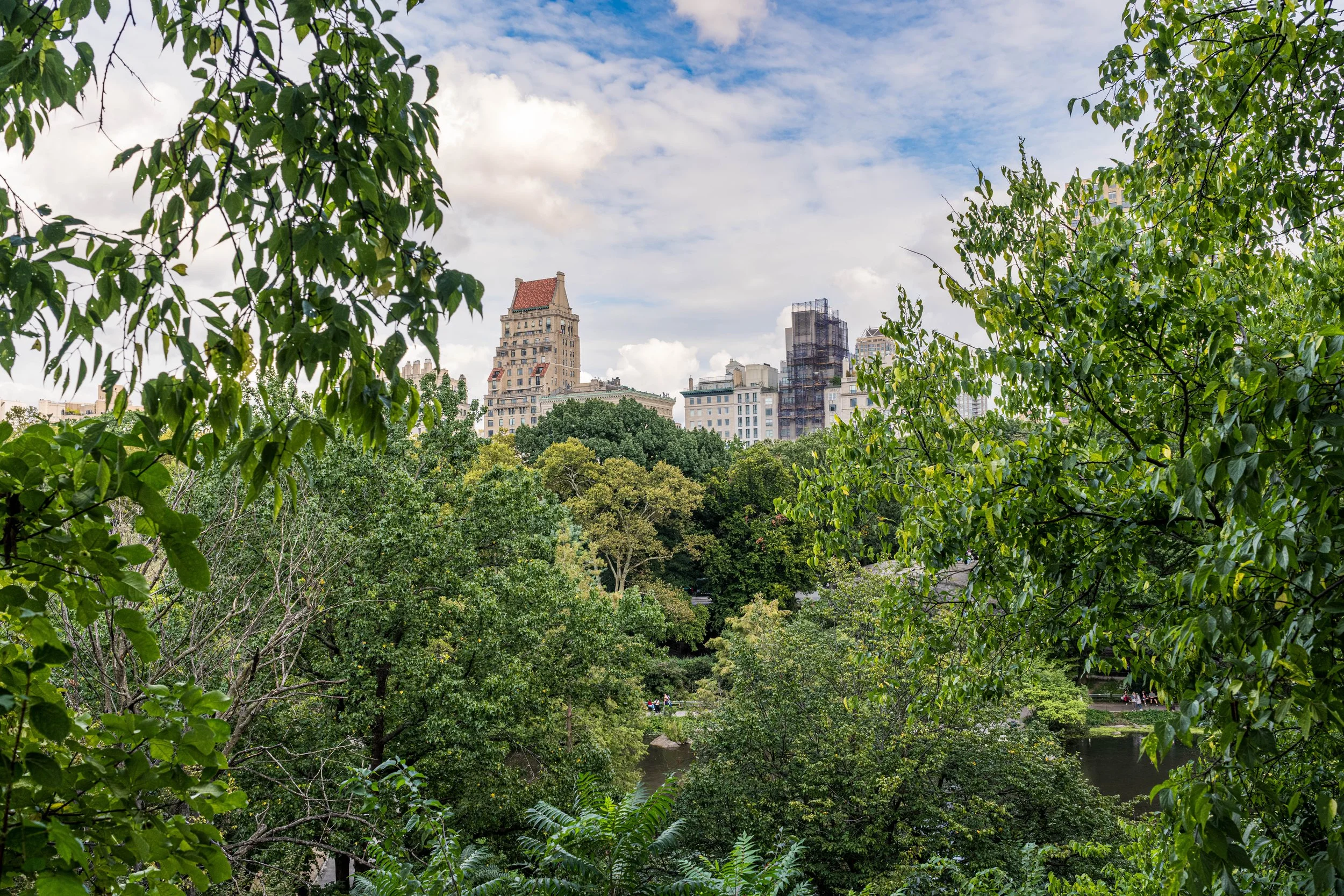 20260922-_DSK7265.jpg
