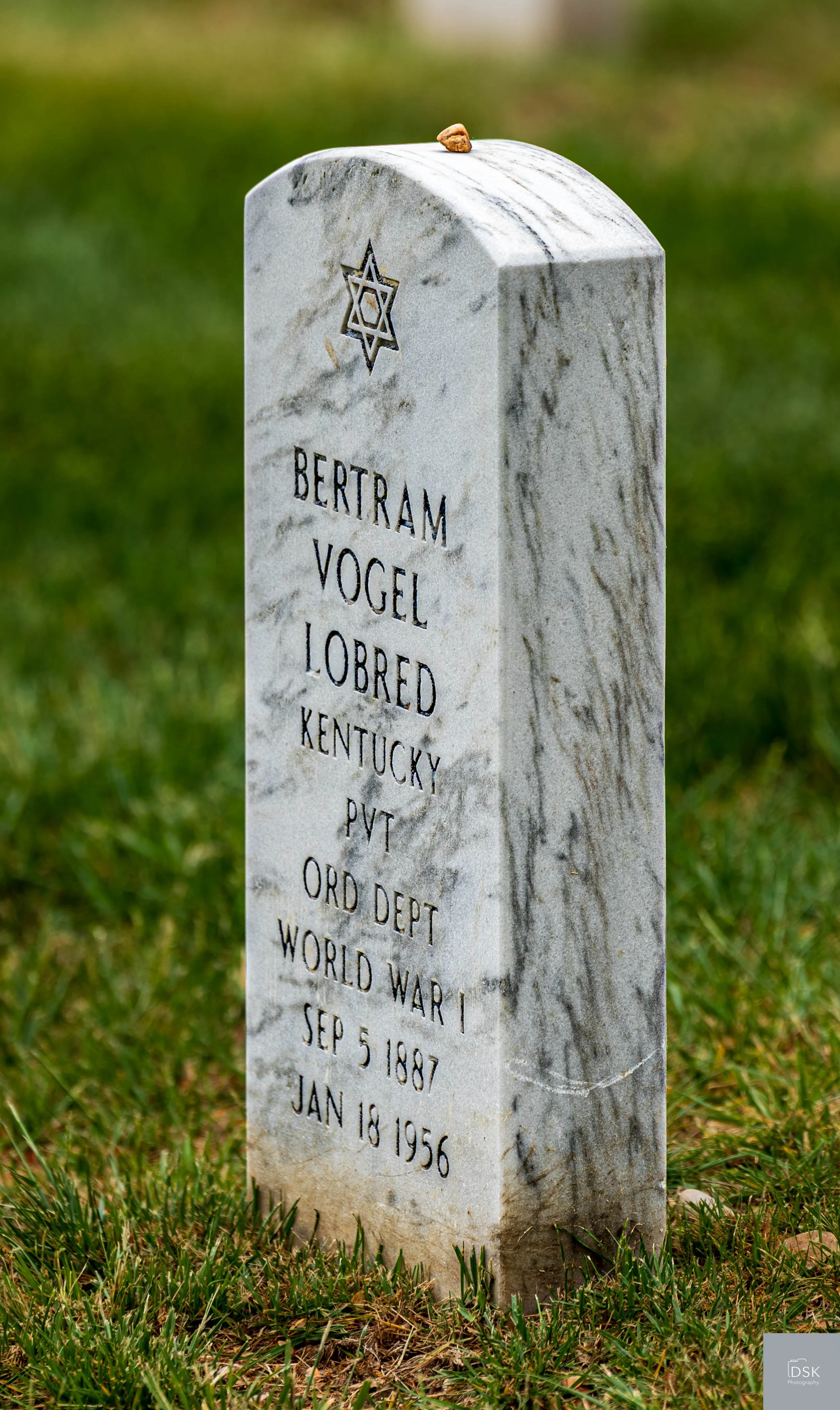 Arlington Cemetery 