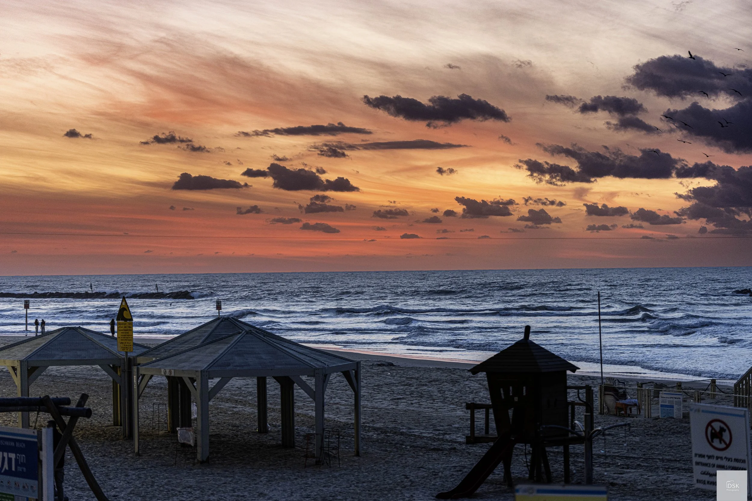 Frishman Beach, Tel Aviv