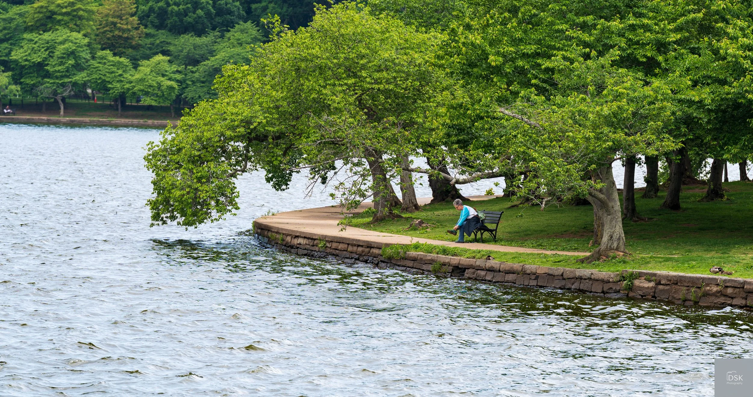 Tidal Basin