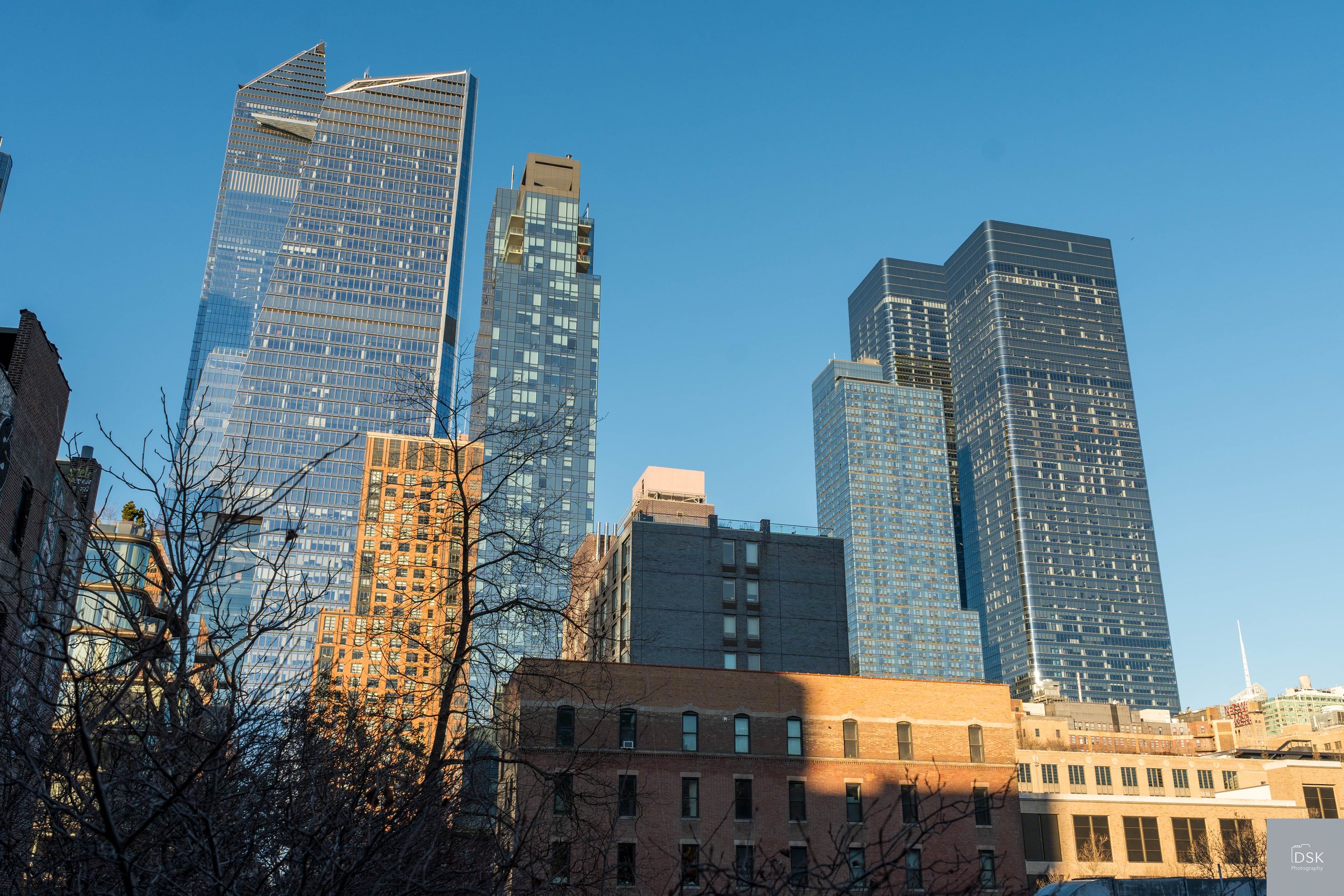 NYC High Line & Skyline