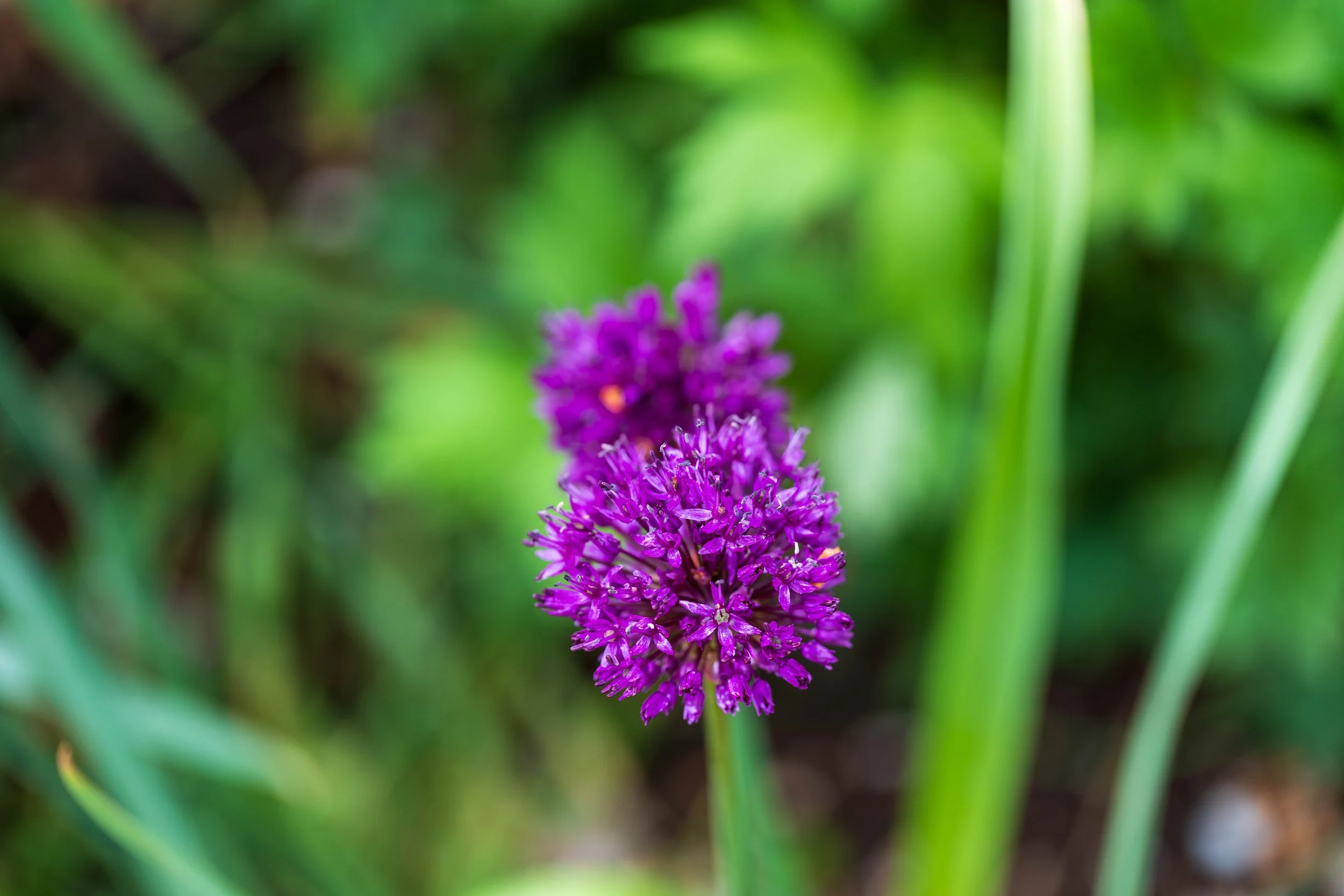 20260522-_DSK0434.jpg