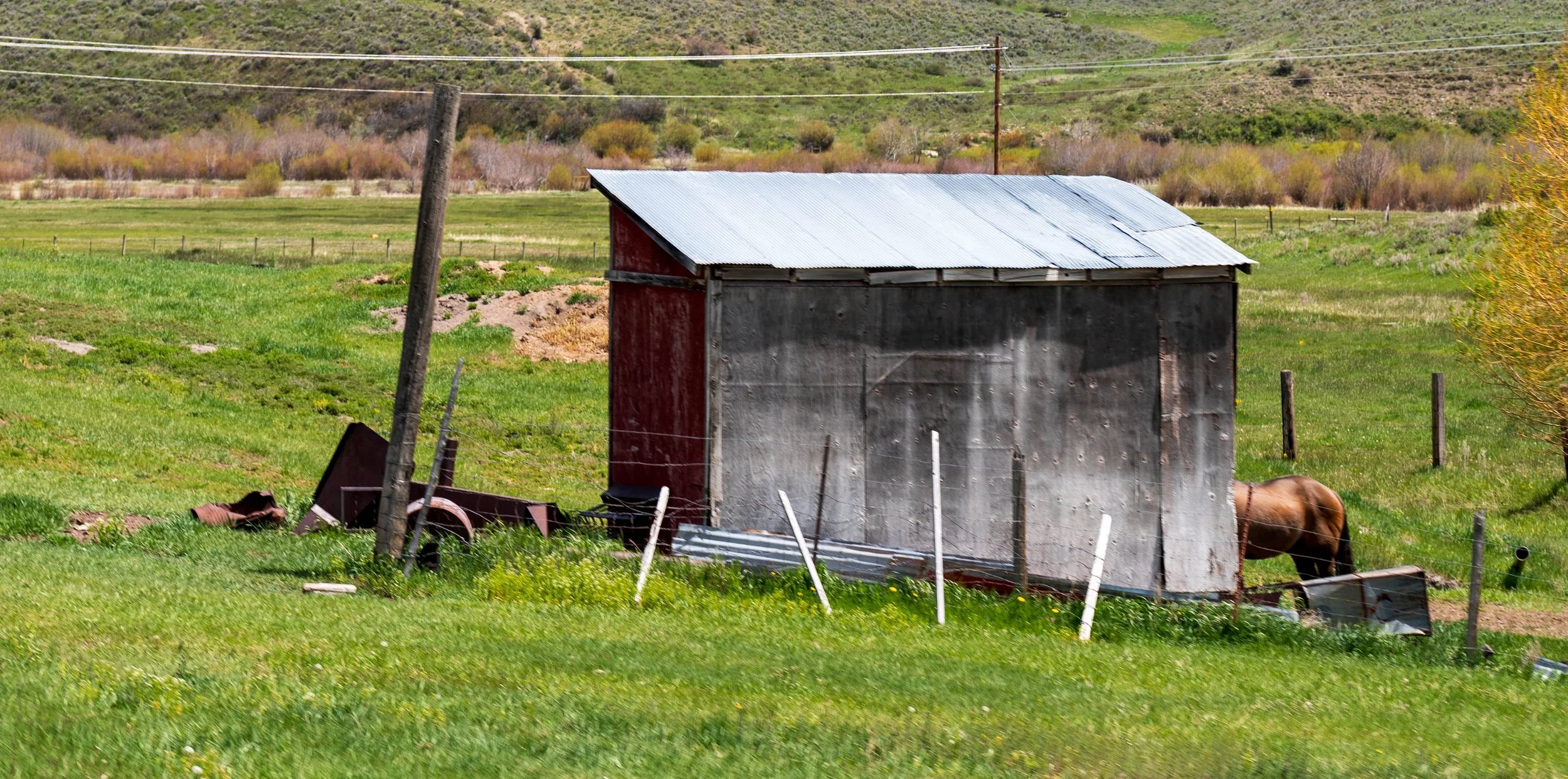 20260525-_DSK1046.jpg