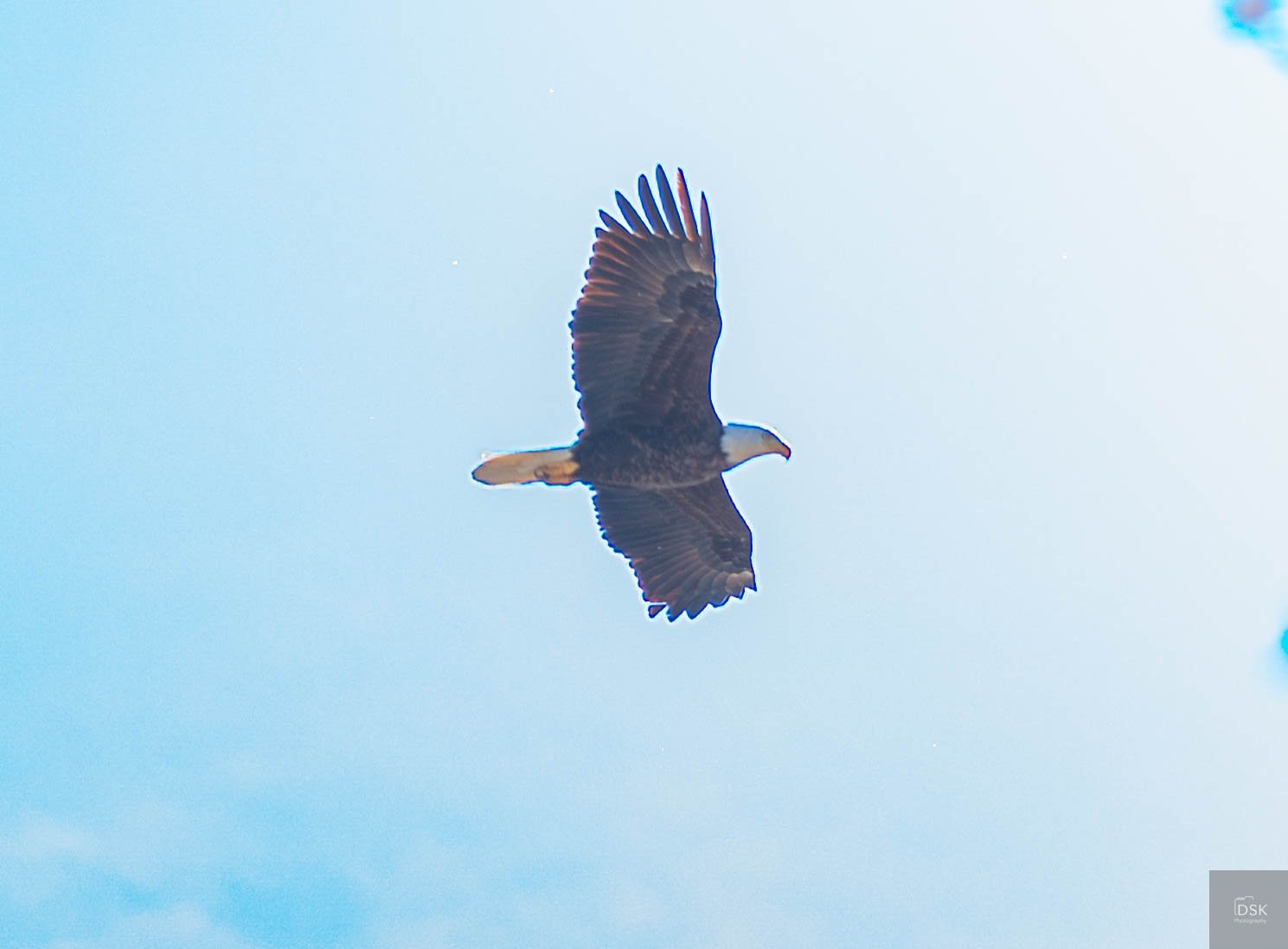 20260410-_DSK9914.jpg