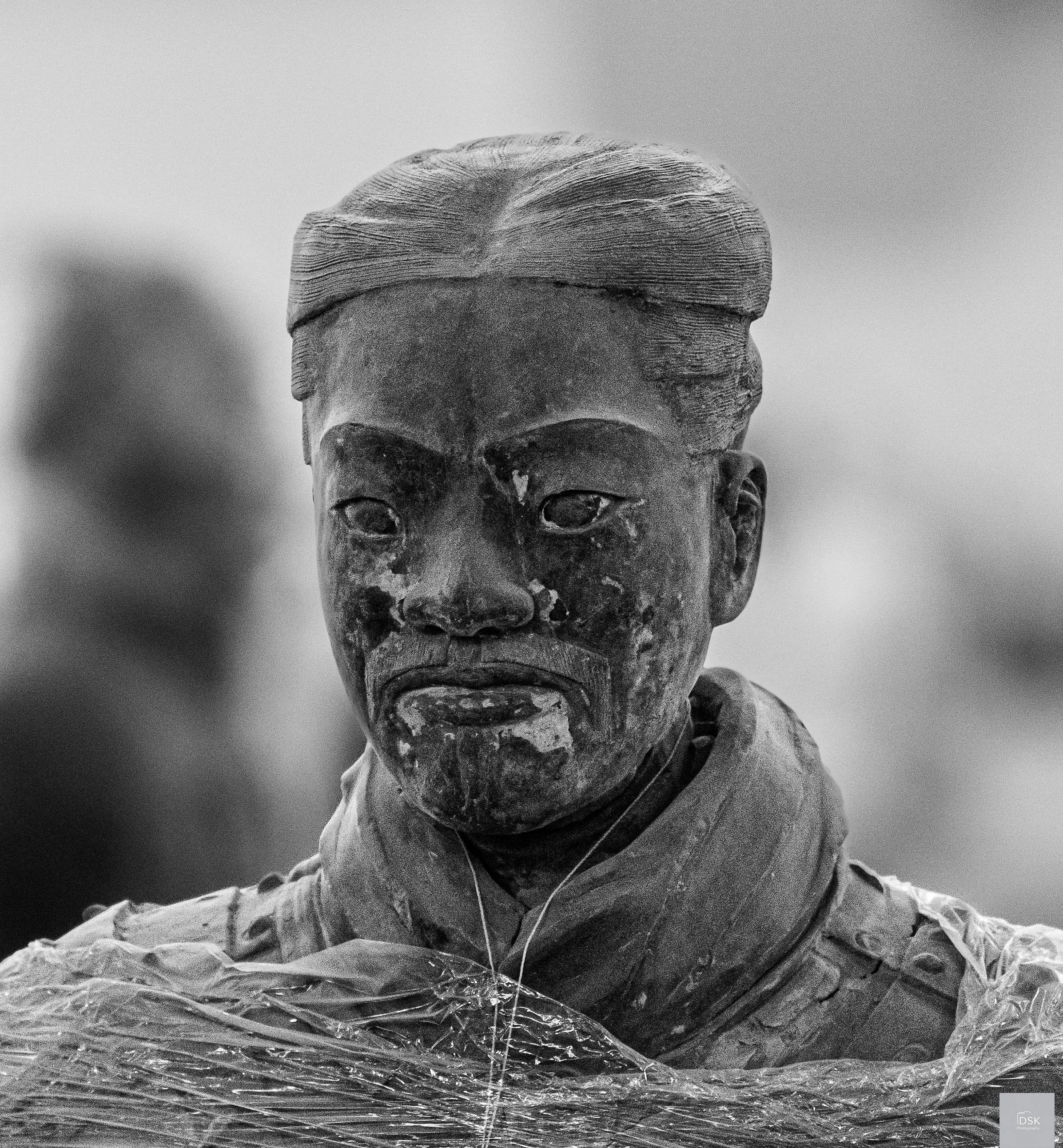 Terra Cotta Warriors