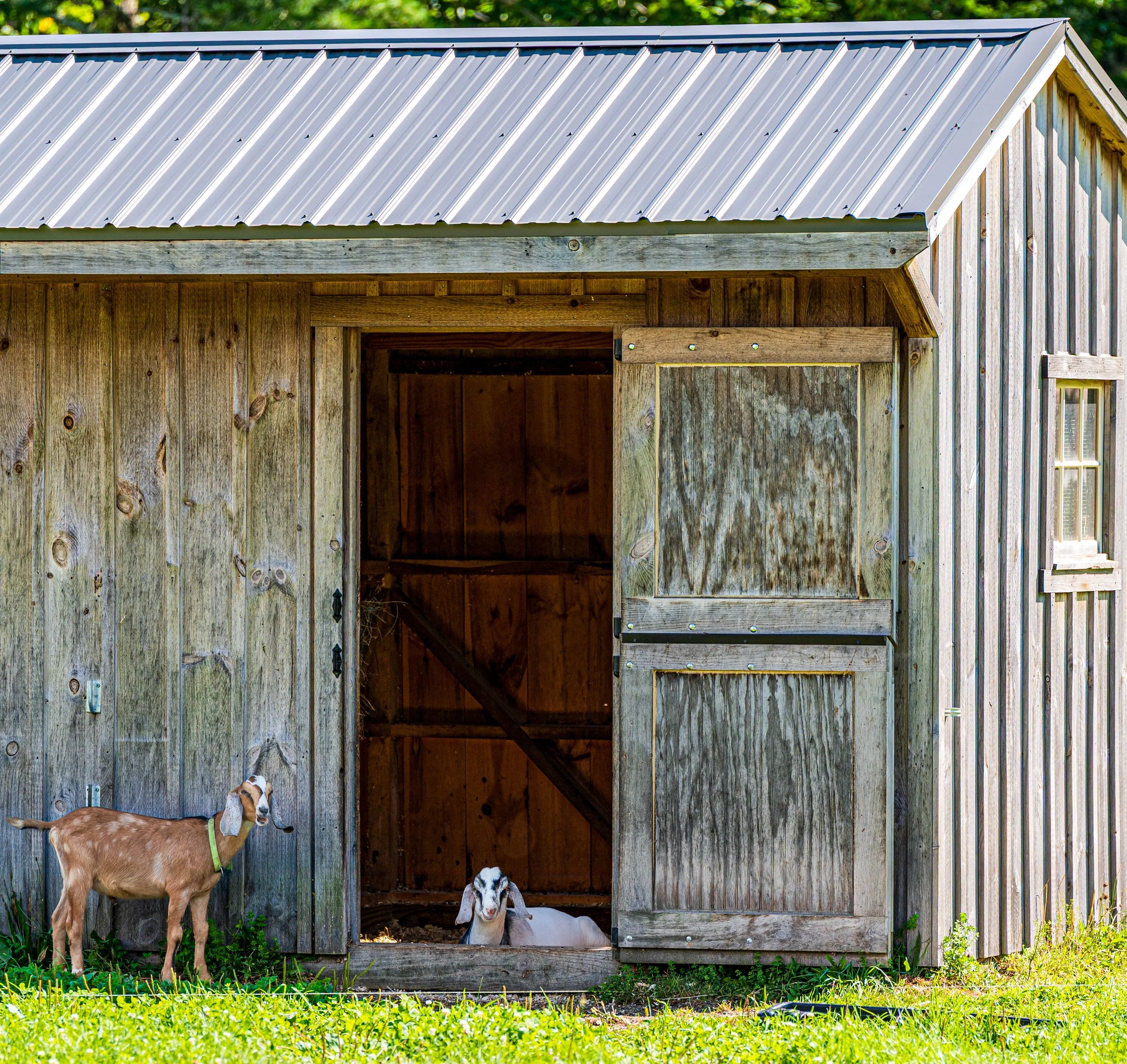 20260906-_DSK6863-Edit-2.jpg