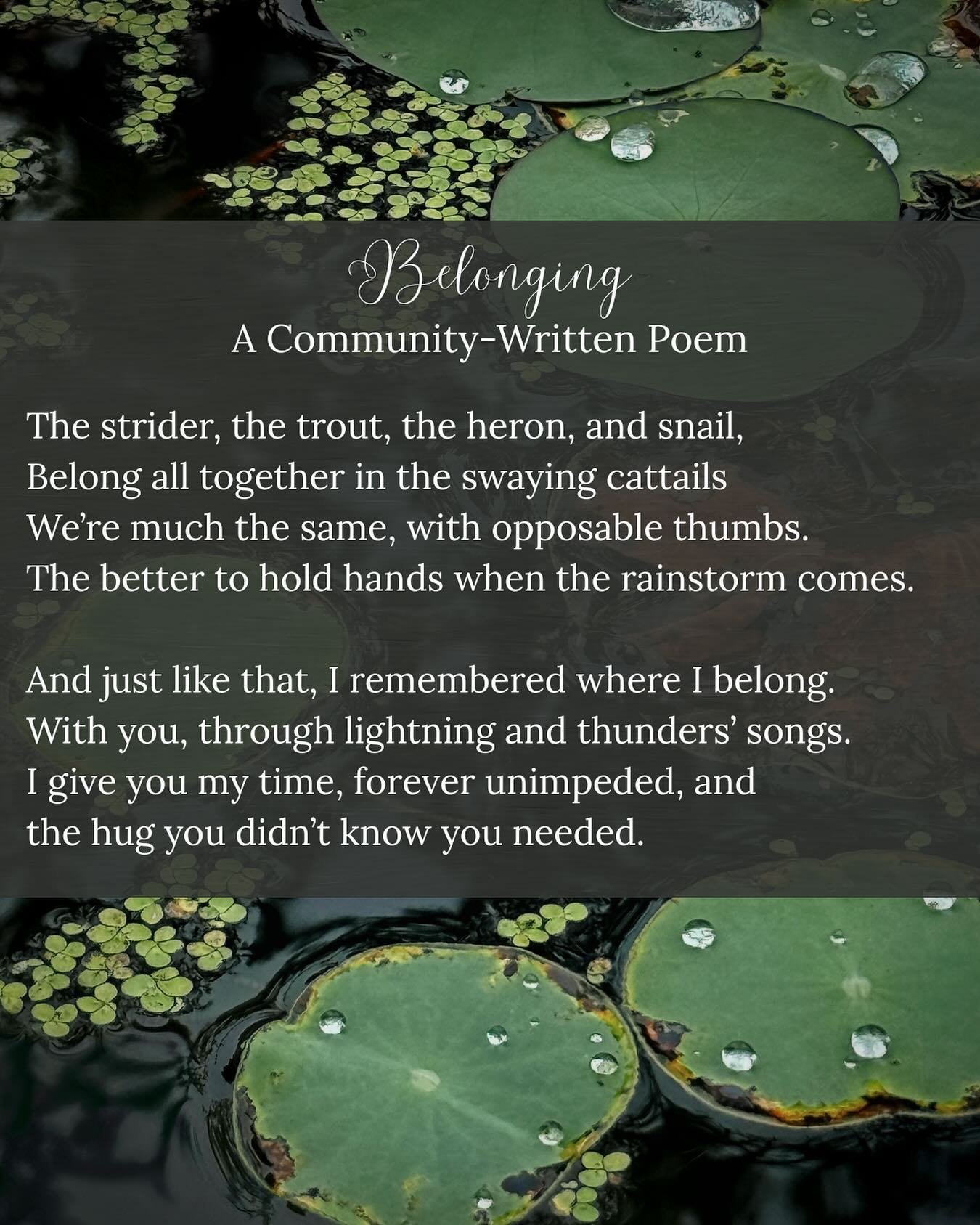 Our community poem on belonging! 

This charming poem is a collection of lines and verses and creative fragments submitted by you, our inspiring and creative and whimsical community. While every word has meaning, there&rsquo;s something magical about