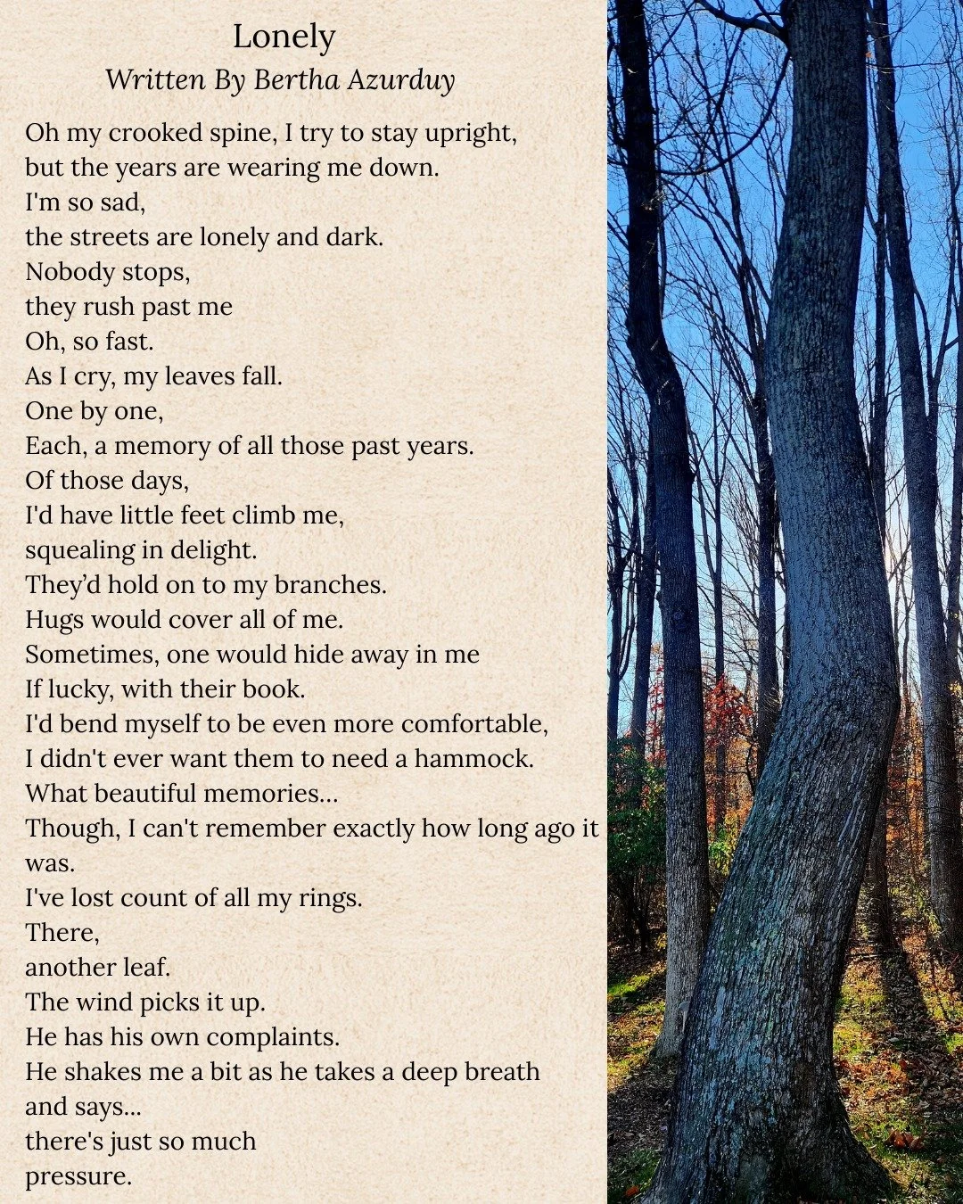The first poem ever submitted to Beyond the Page stopped me in my tracks. Poet Bertha Azurduy created magic from the simple prompt of writing a poem from the point of view of the oldest tree in your neighborhood.

As I reflect on new beginnings this 