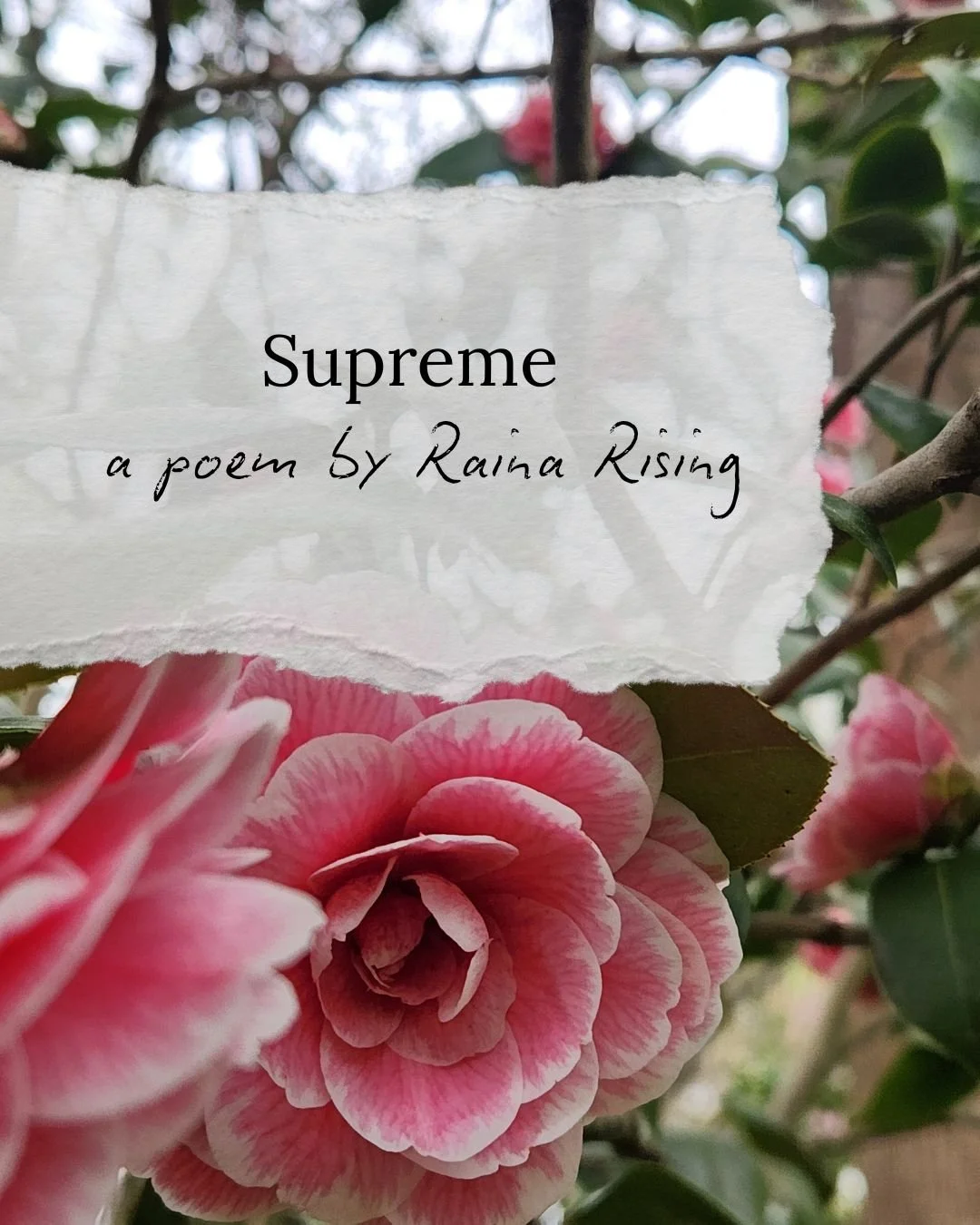Mothers are the backbone of our families, of our communities, of our world. Today, we are deeply honored to share poems from our Beyond the Page community of writers celebrating mothers who are facing the world with fire in their eyes and babies on t