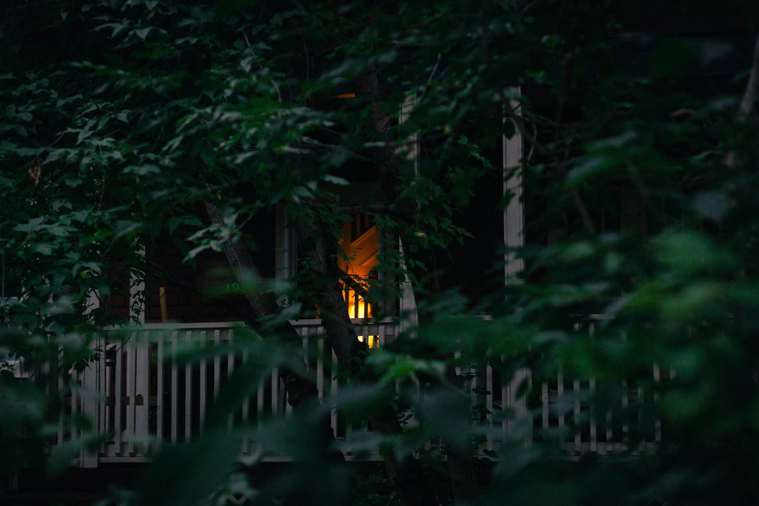 Oakworm Moon