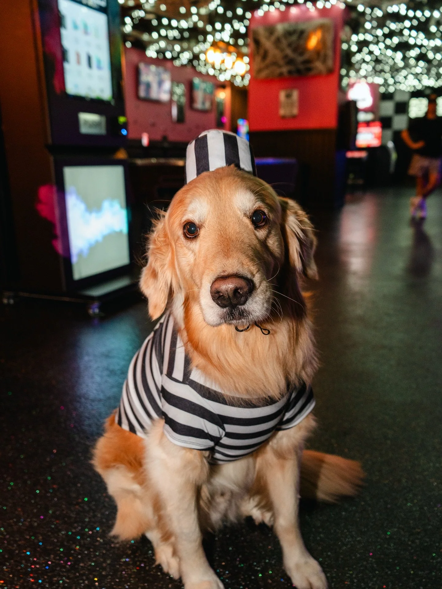 Calling all of our pup friends 🐾🎃

This Thursday 10/30 is our Bark &amp; Boo dog costume contest, sponsored by Hollywood Feed and Tito&rsquo;s Vodka! Dress up your furry friend and come have a ball with us!

Terrific prizes for 1st, 2nd &amp; 3rd p
