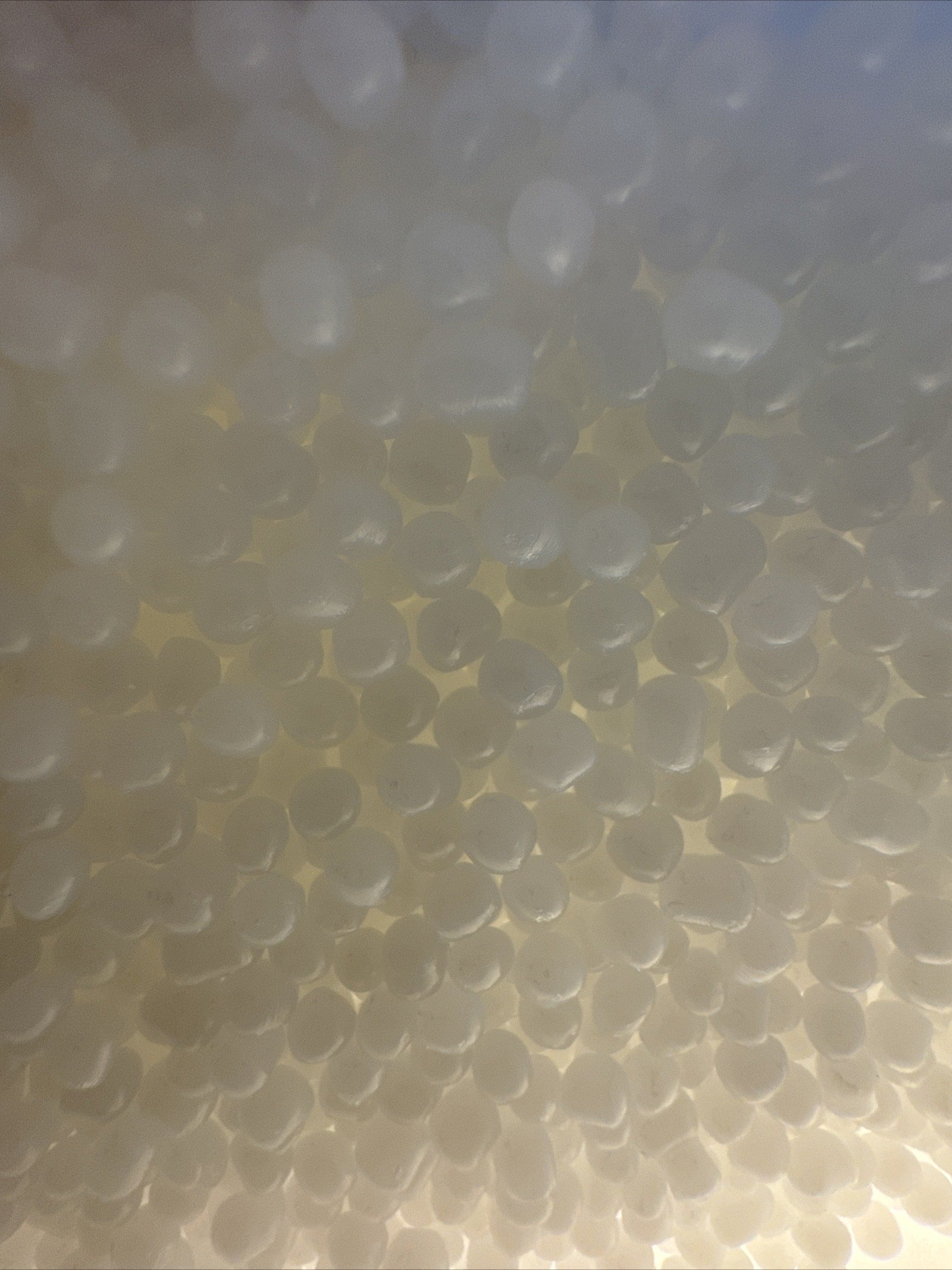 97C7FC7C-D87A-475F-8721-5F258D94DDC1.jpeg