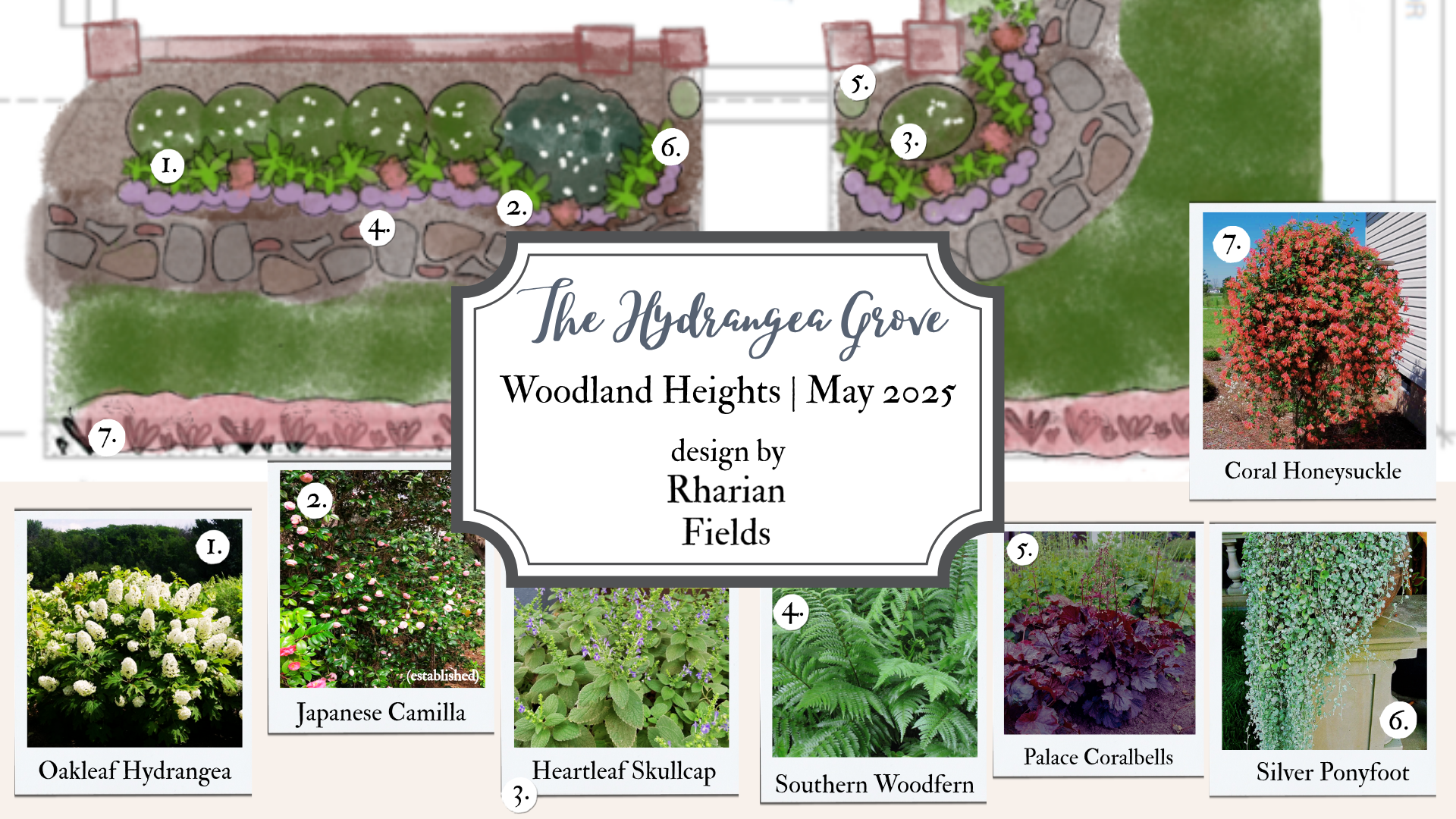 The Hydrangea Grove Highland Street.png