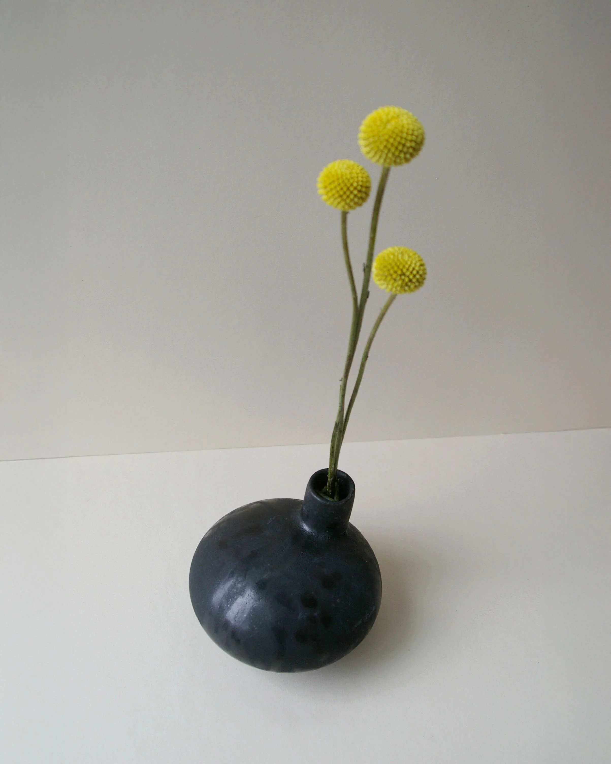Black Bud Vase 02.jpg