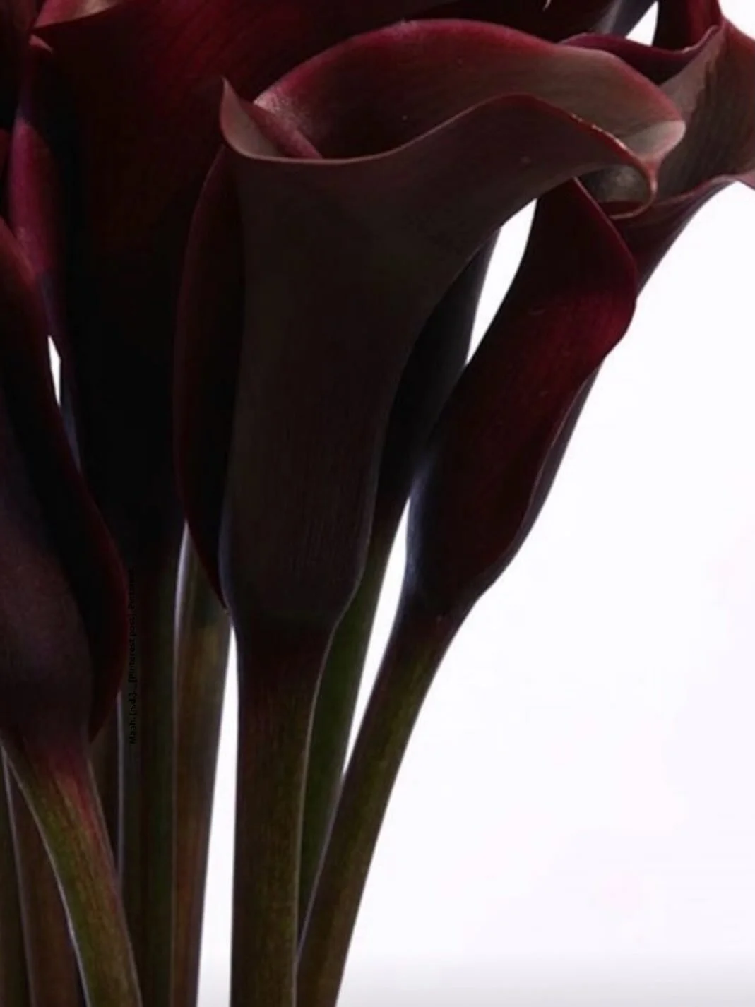 True advantage is found in depth, where insight moves beyond surface efficiency.

Invest in a virtual assistant who brings discernment, perspective, and thoughtful engagement, delivering support that moves beyond tasks to create meaningful, enduring 