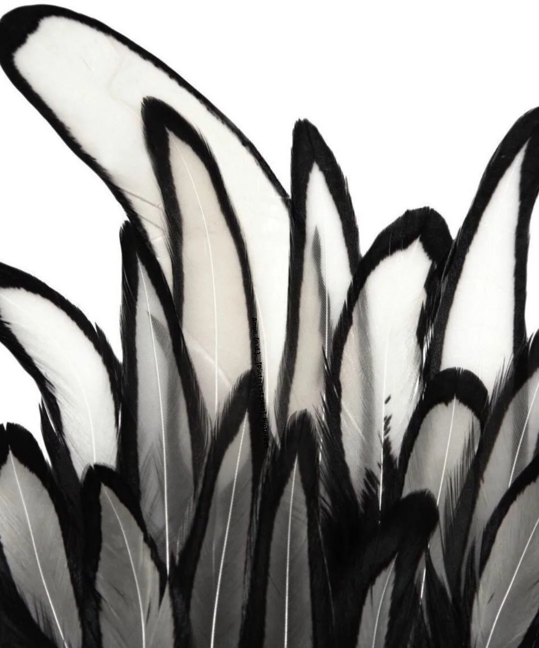 A virtual assistant offers a delicate approach to managing your workload, where every task is handled with care, discretion and refined precision.

Investing in this level of support allows your business to operate with quiet confidence and a distinc